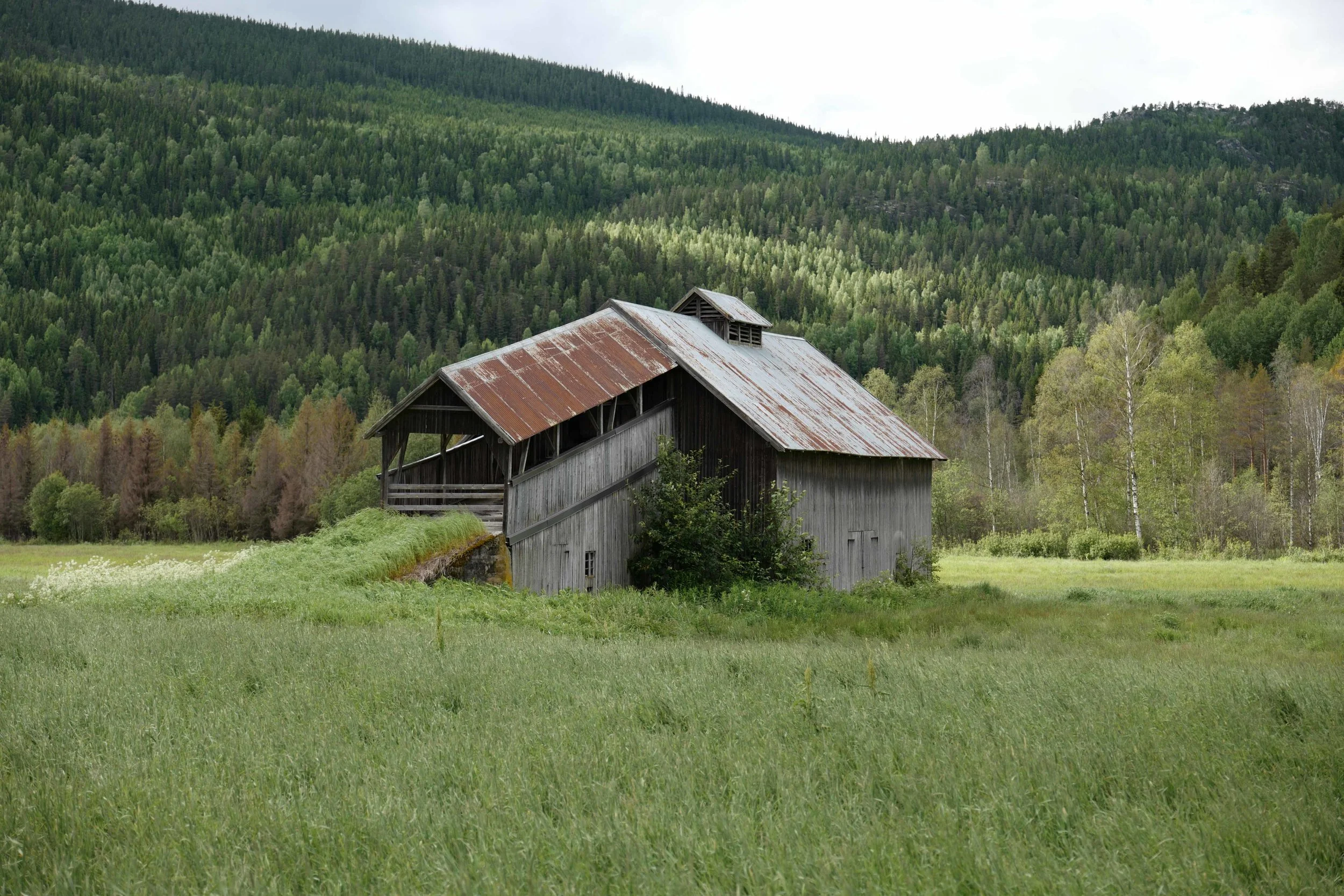 Låve m overbygget bro Imsroa 3 lavo 6.17.jpg