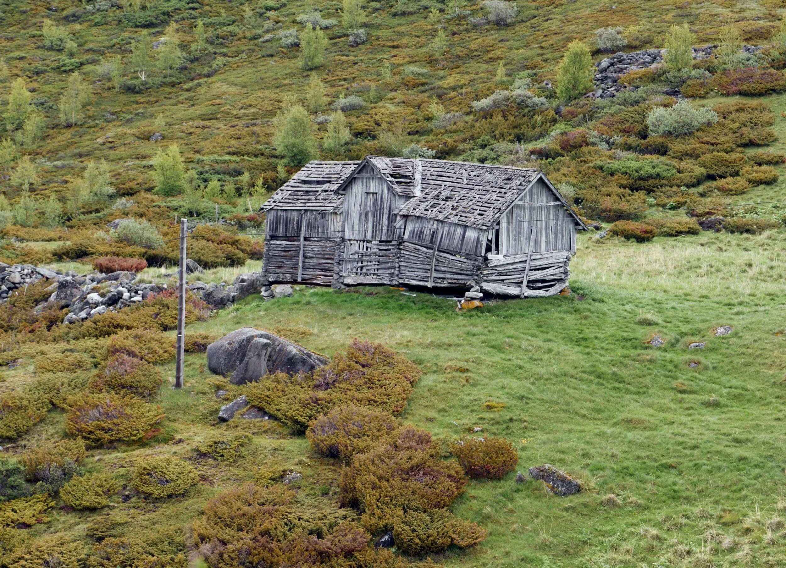 Løe, grå slitt over Sognefjellet crp lavo 6.17 .jpg