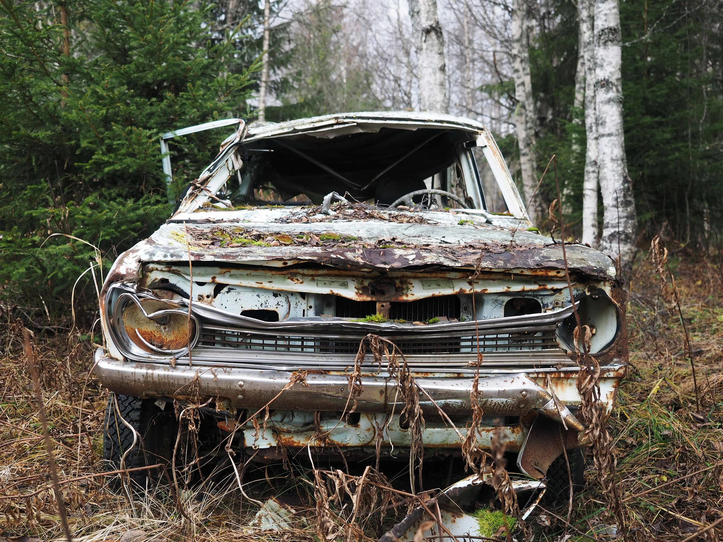 Datsun Åsbygda ff lavo 10.14.jpg