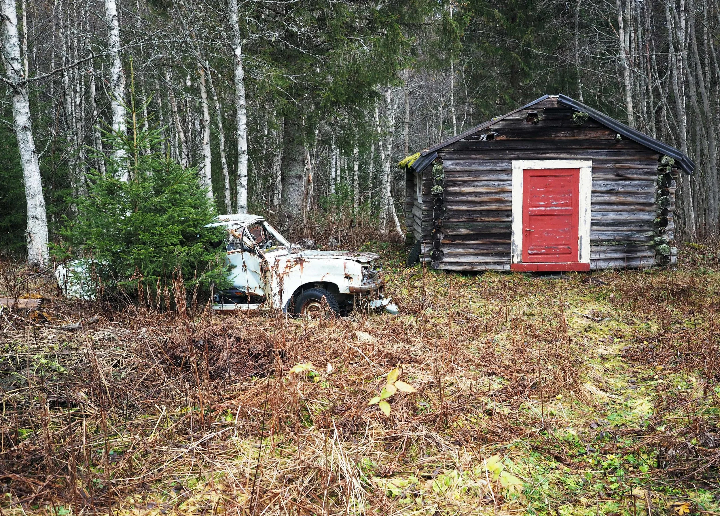 Datsun + tømmerkoie Åsbygda lavo 10.14.jpg