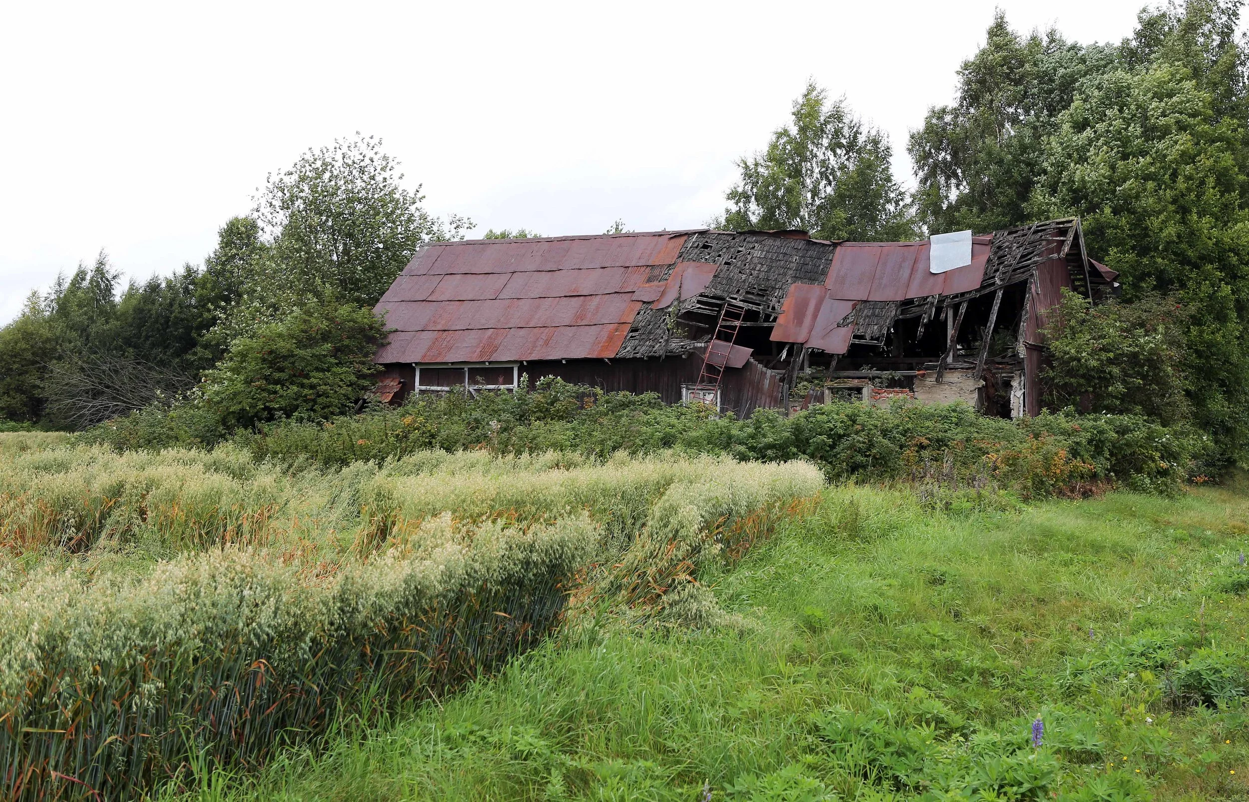 House nature & metal sheet Flisa lavo 8.29.17.jpg