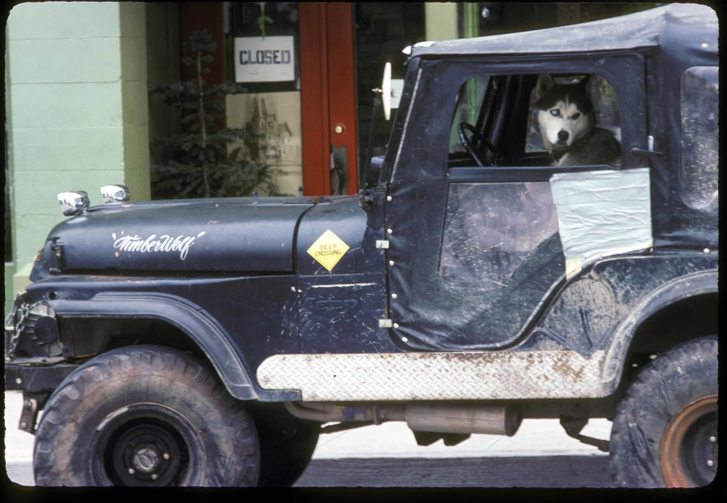 Timber Wolf 2T lavo 1978.jpg