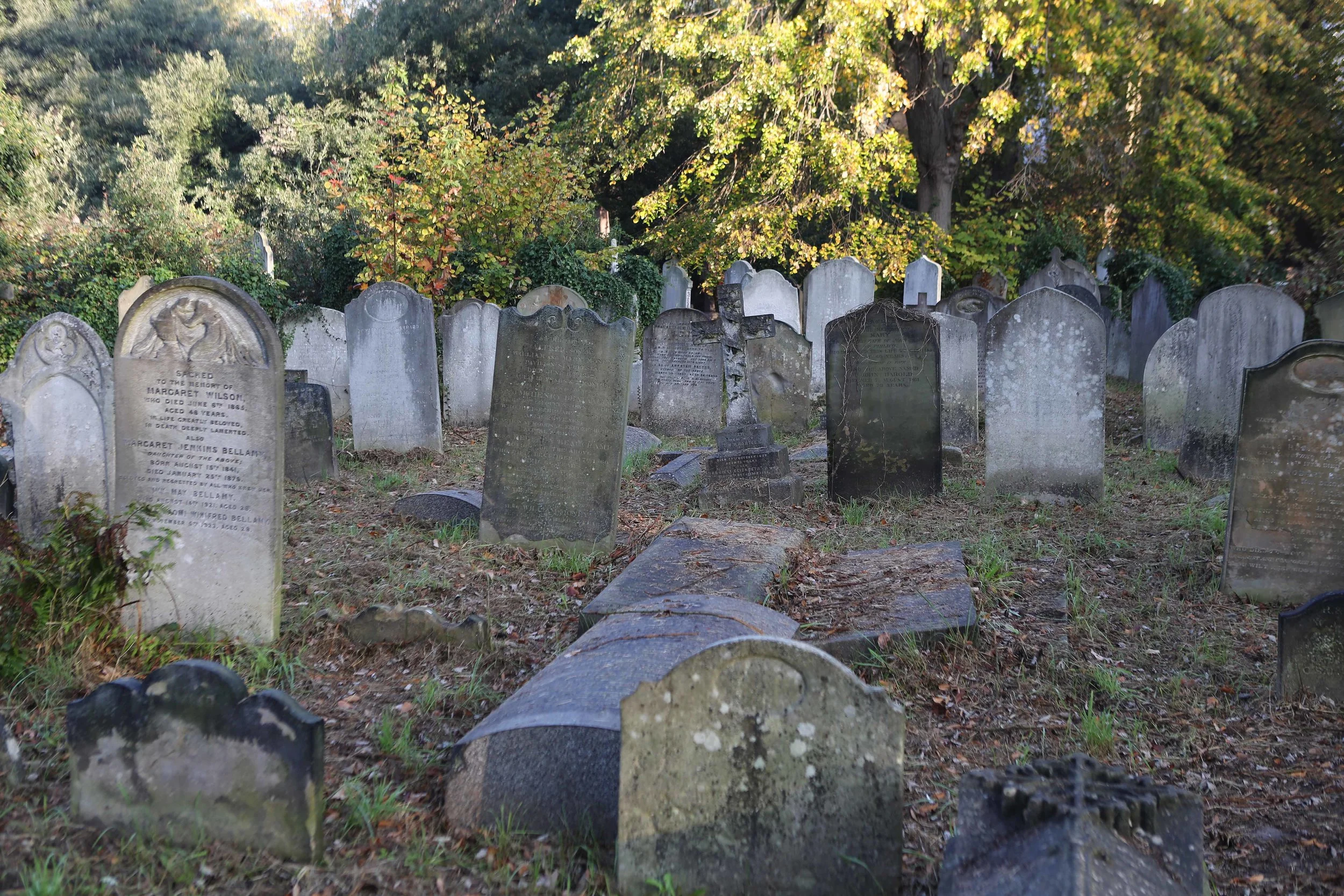 Bromton Cemetery 1 lavo 11.17.jpg