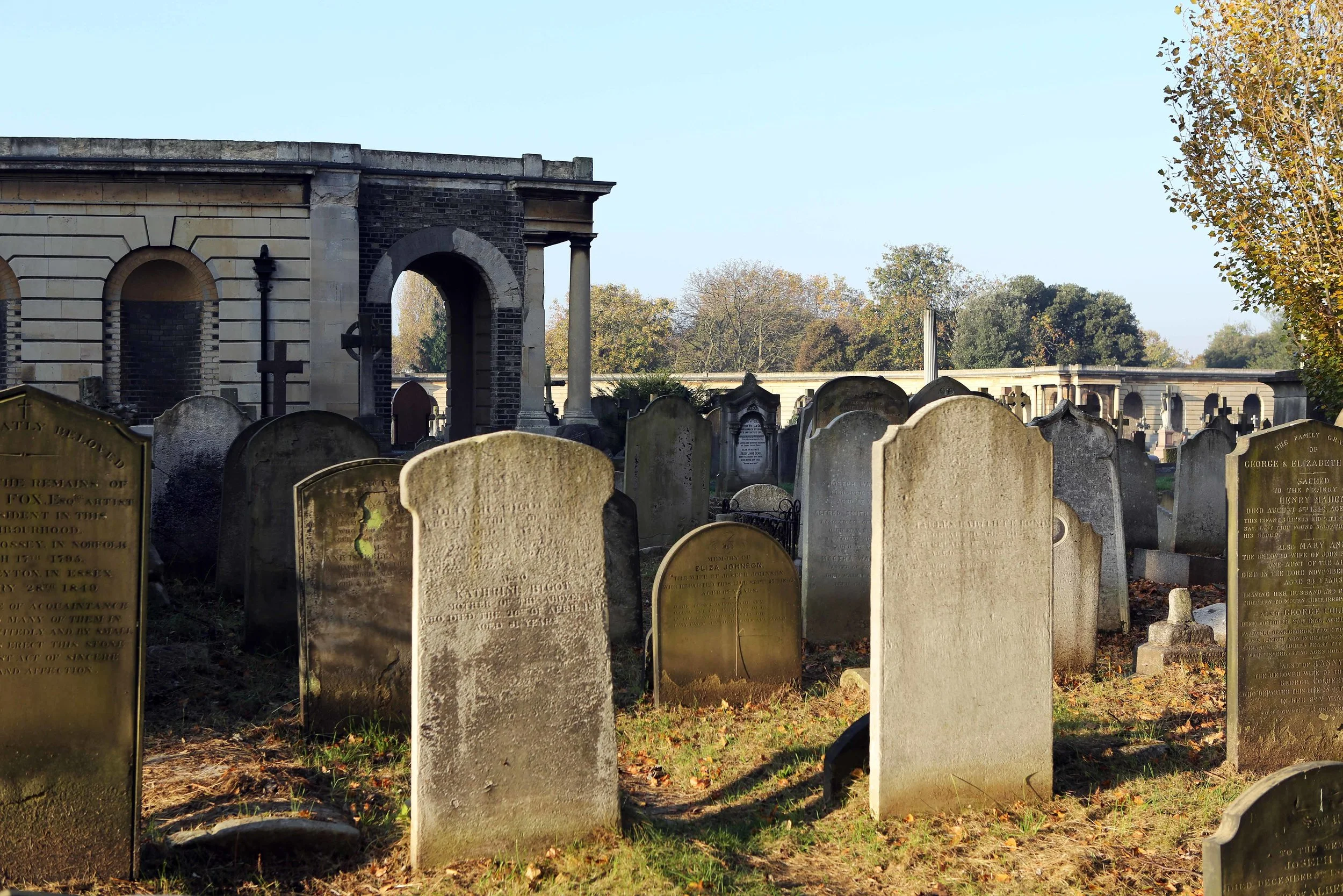 Bromton Cemetery 2 lavo 11.17.jpg