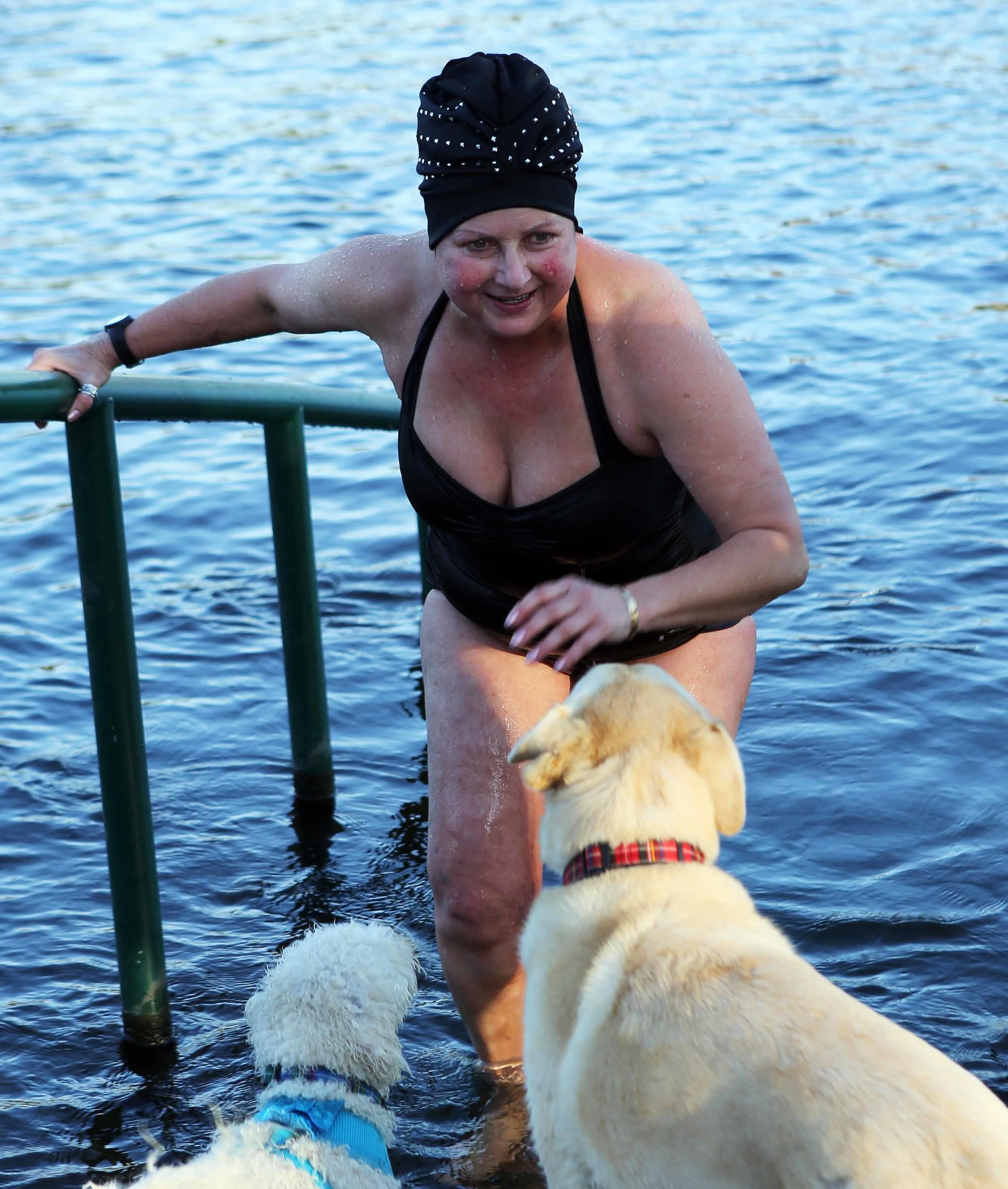 Dogs awaiting swimmer SSC 2 crp m lavo 11.17.jpg