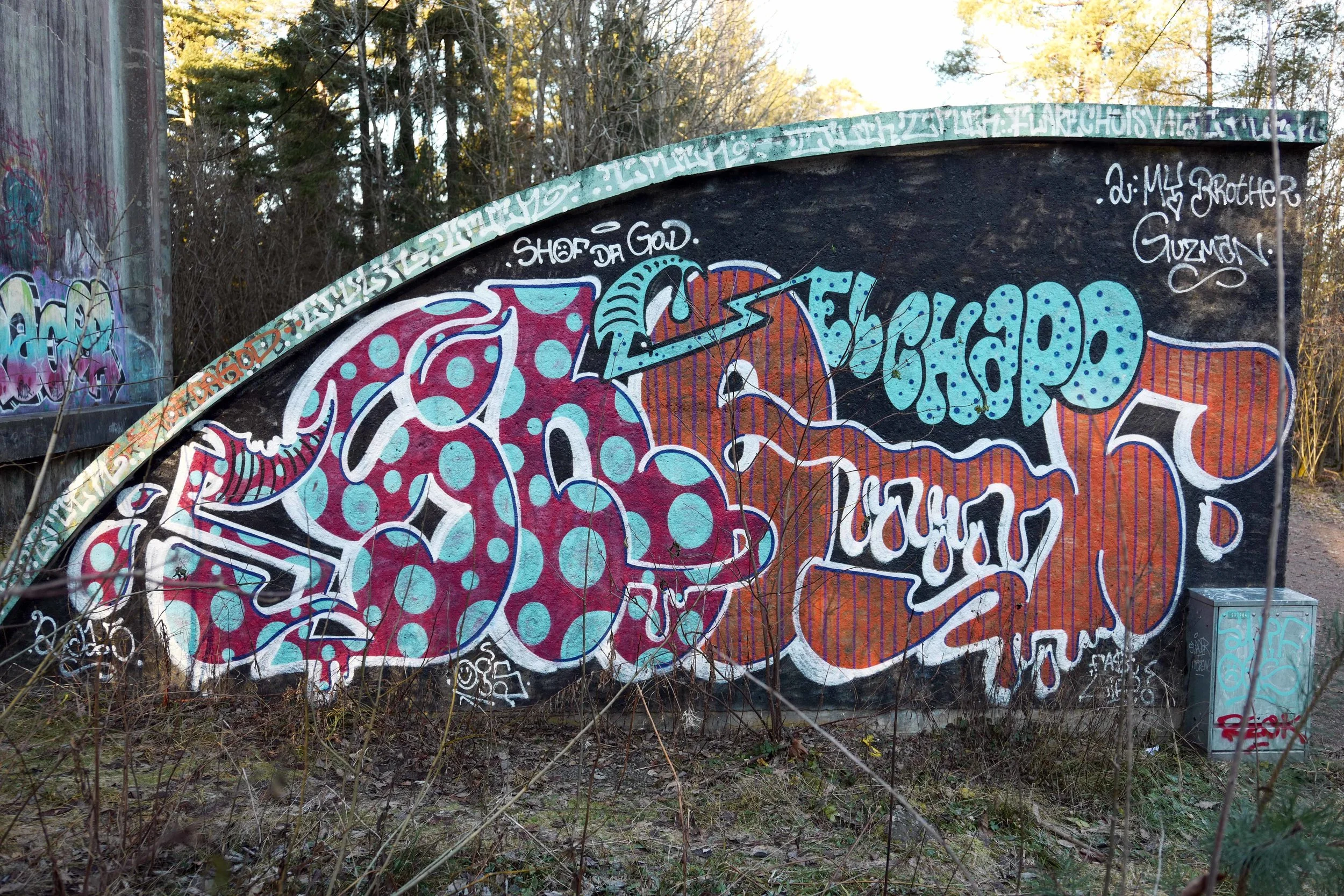 Grafitti Tbg 8 lavo 12.17.jpg