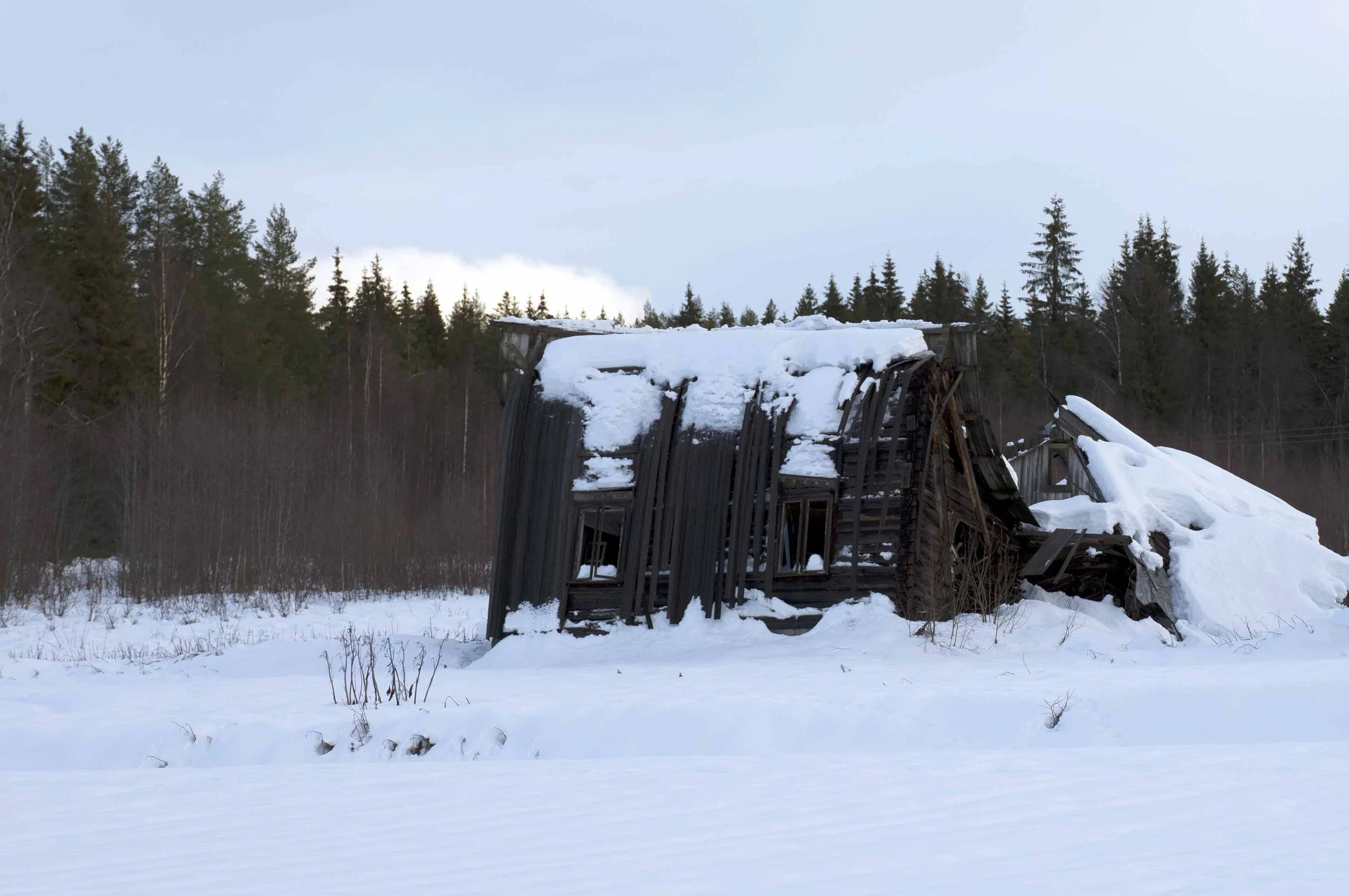 Ilsaas søndre crp lavo 12.19.jpg
