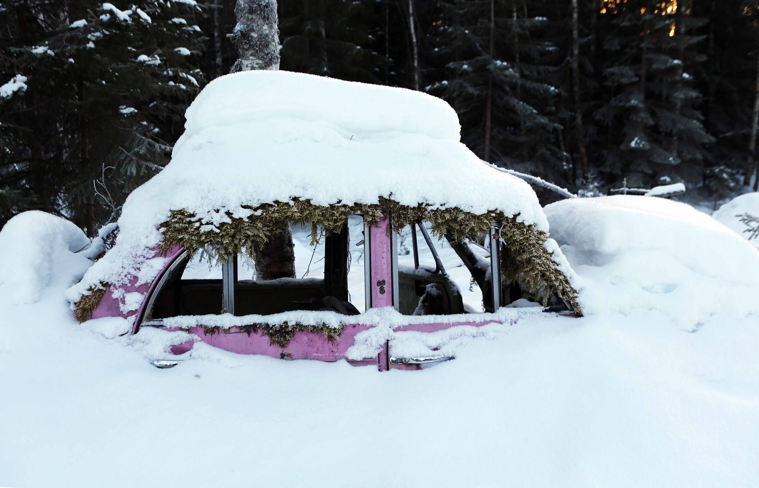 Morris mm hele side m snø lavo 12.17.jpg