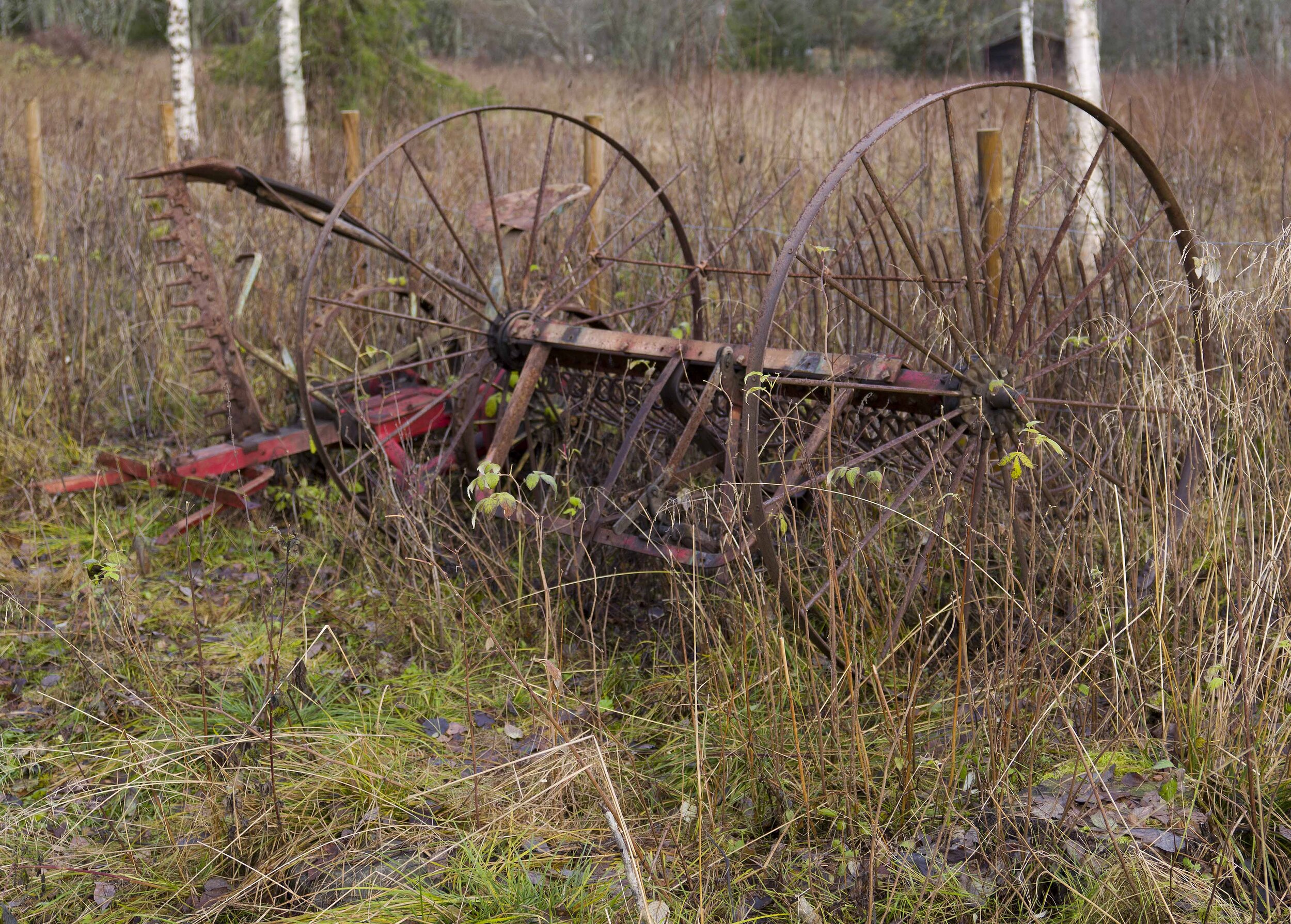 Utrangert hesteredskap crp lavo 10.20 .jpg