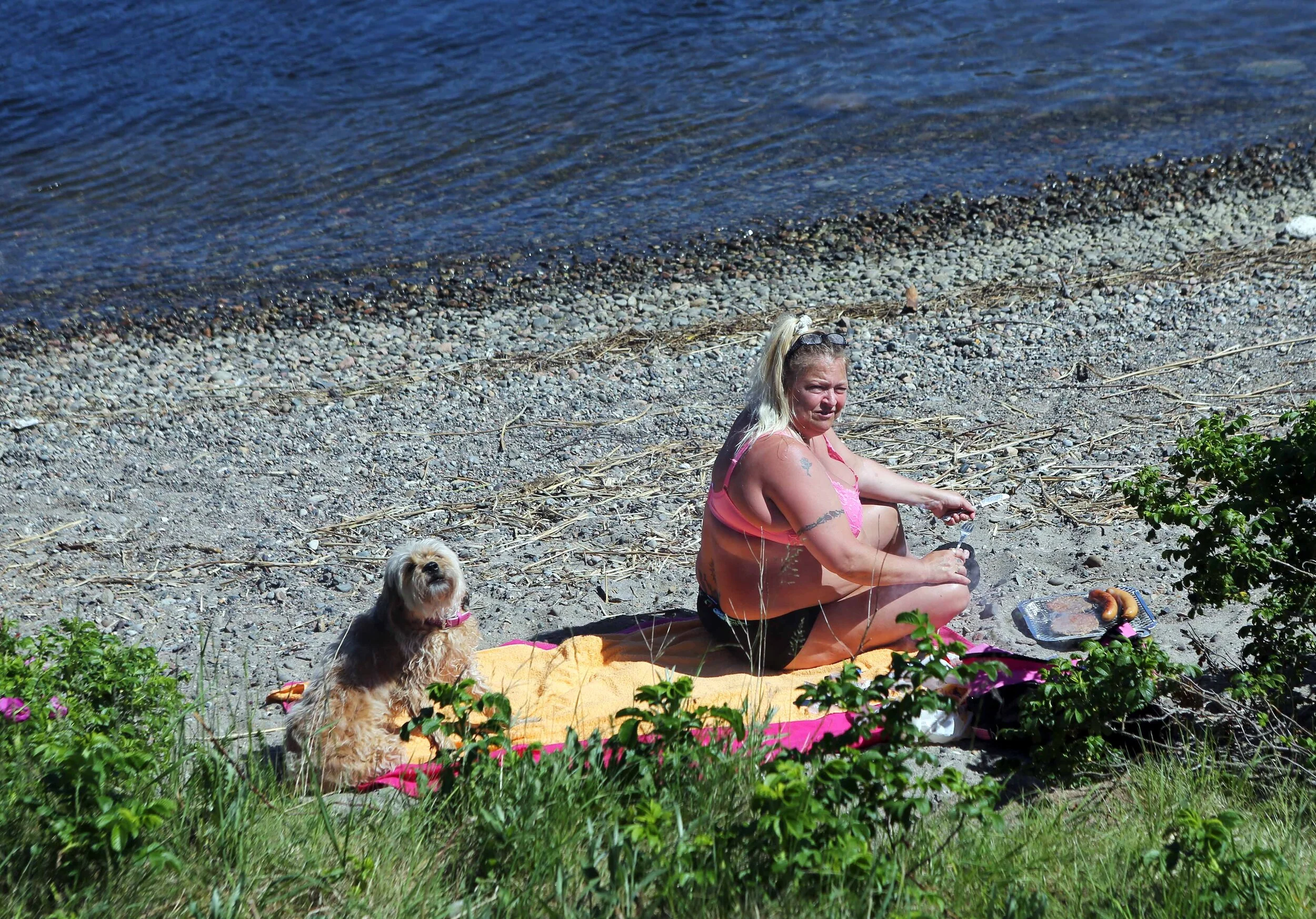 Pin-up Svelvik 2 m hund lavo 6.16.jpg
