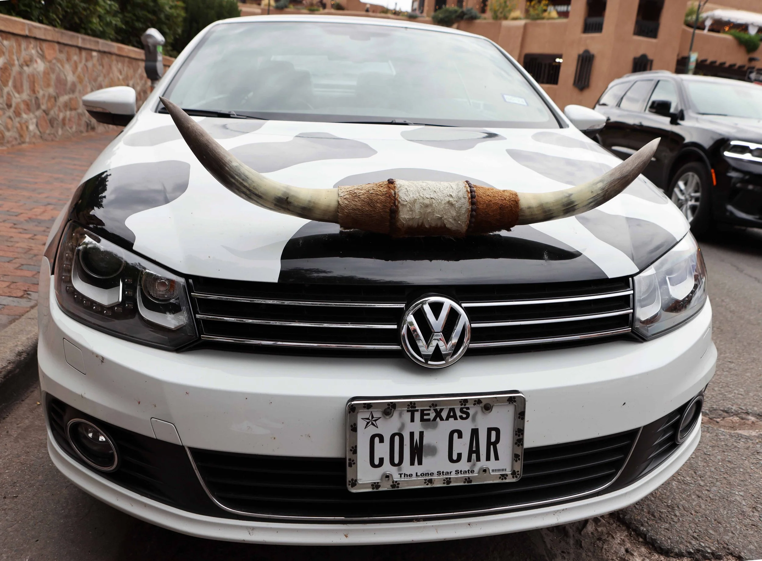 Cow car Texas front n Santa Fe NM lavo 9.23.jpg