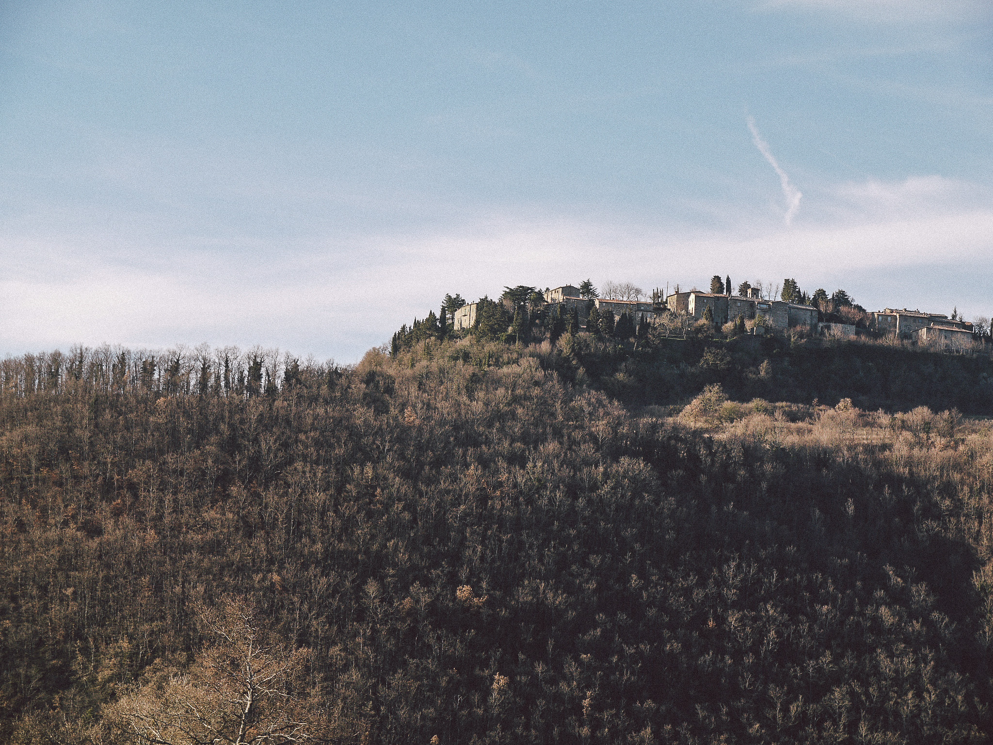 _1030928.jpg