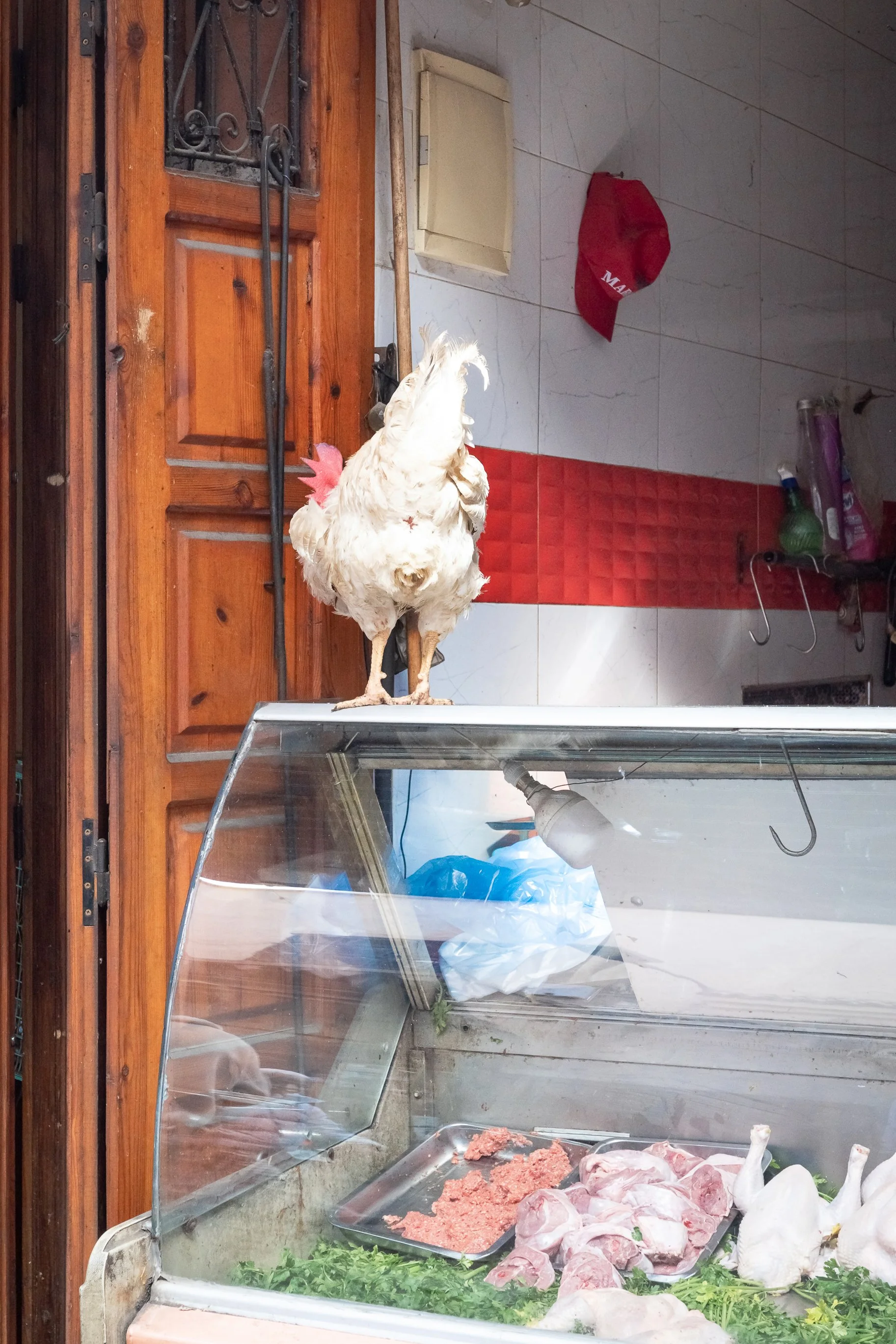 Maroko Ricoh RESIZED_68.jpg