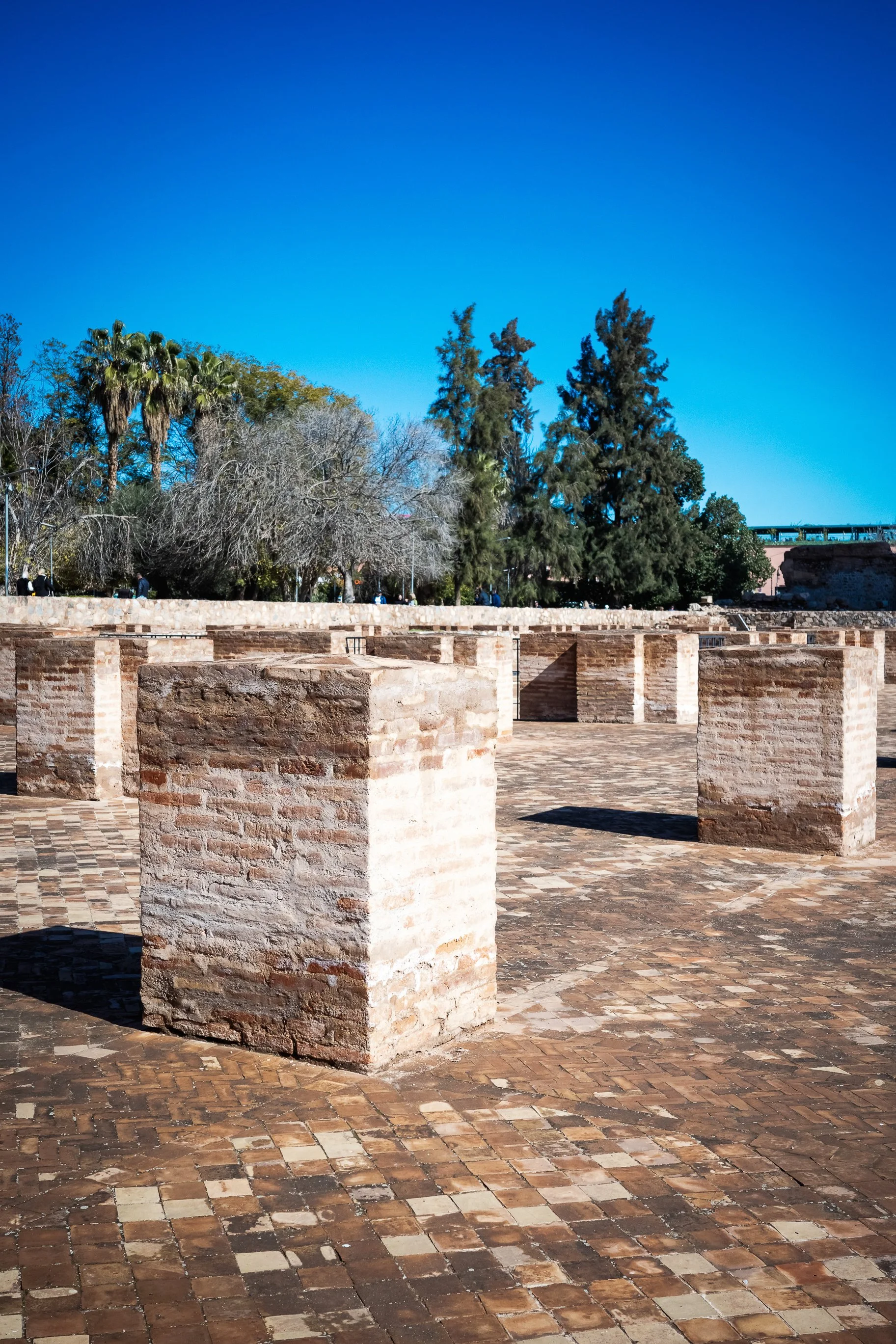 Maroko Ricoh RESIZED_54.jpg