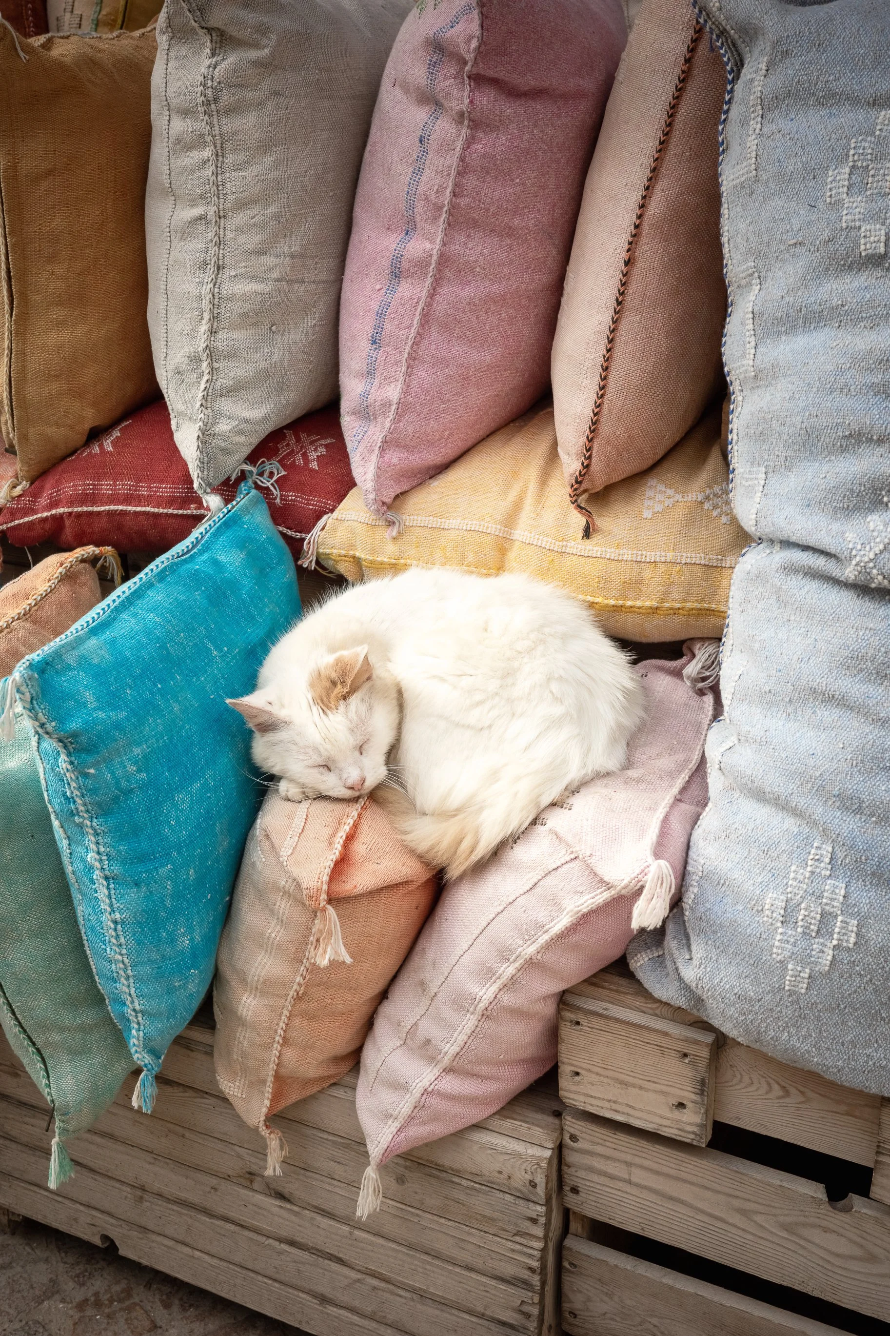 Maroko Ricoh RESIZED_100.jpg