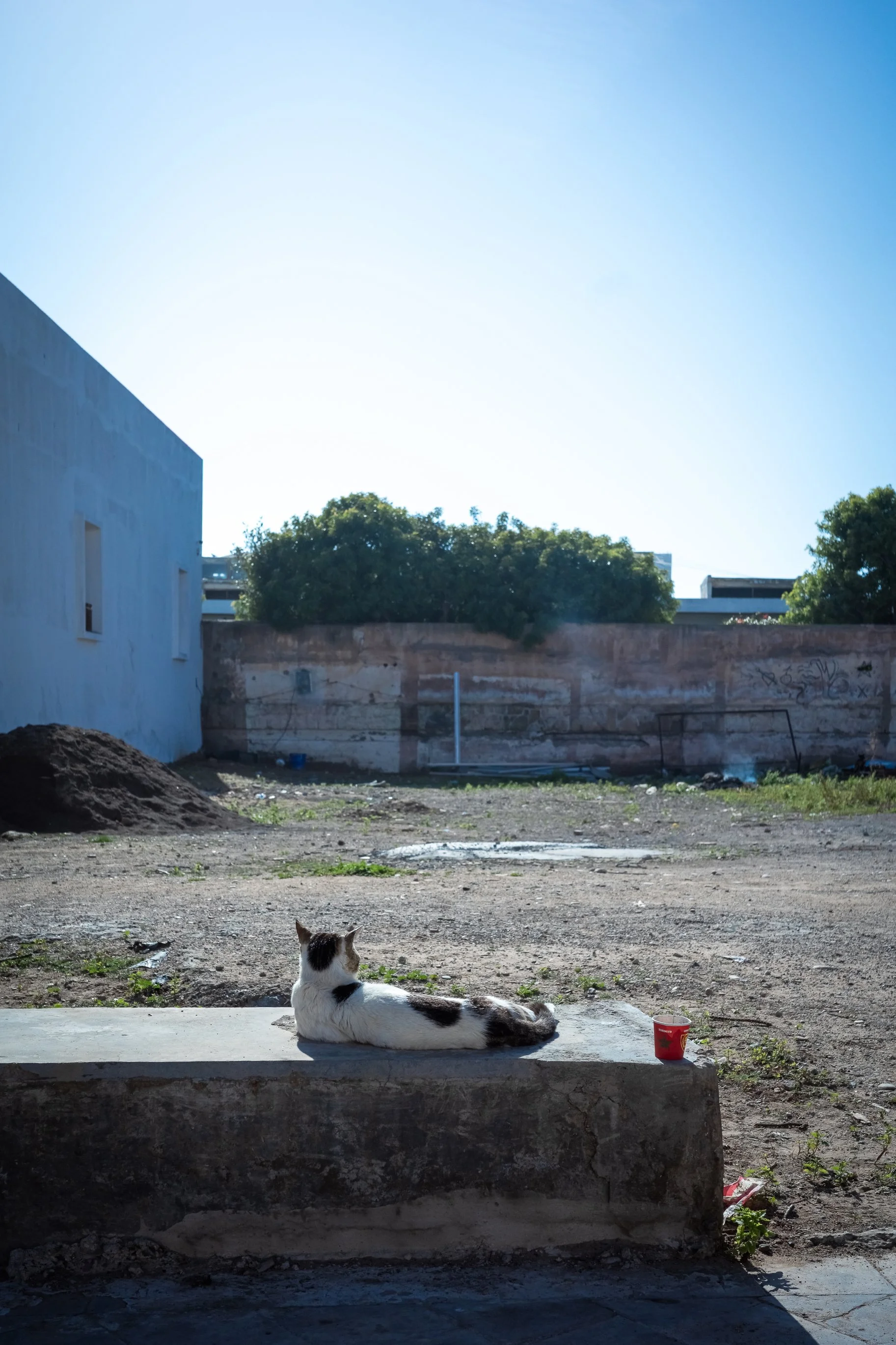 Maroko Ricoh RESIZED_86.jpg