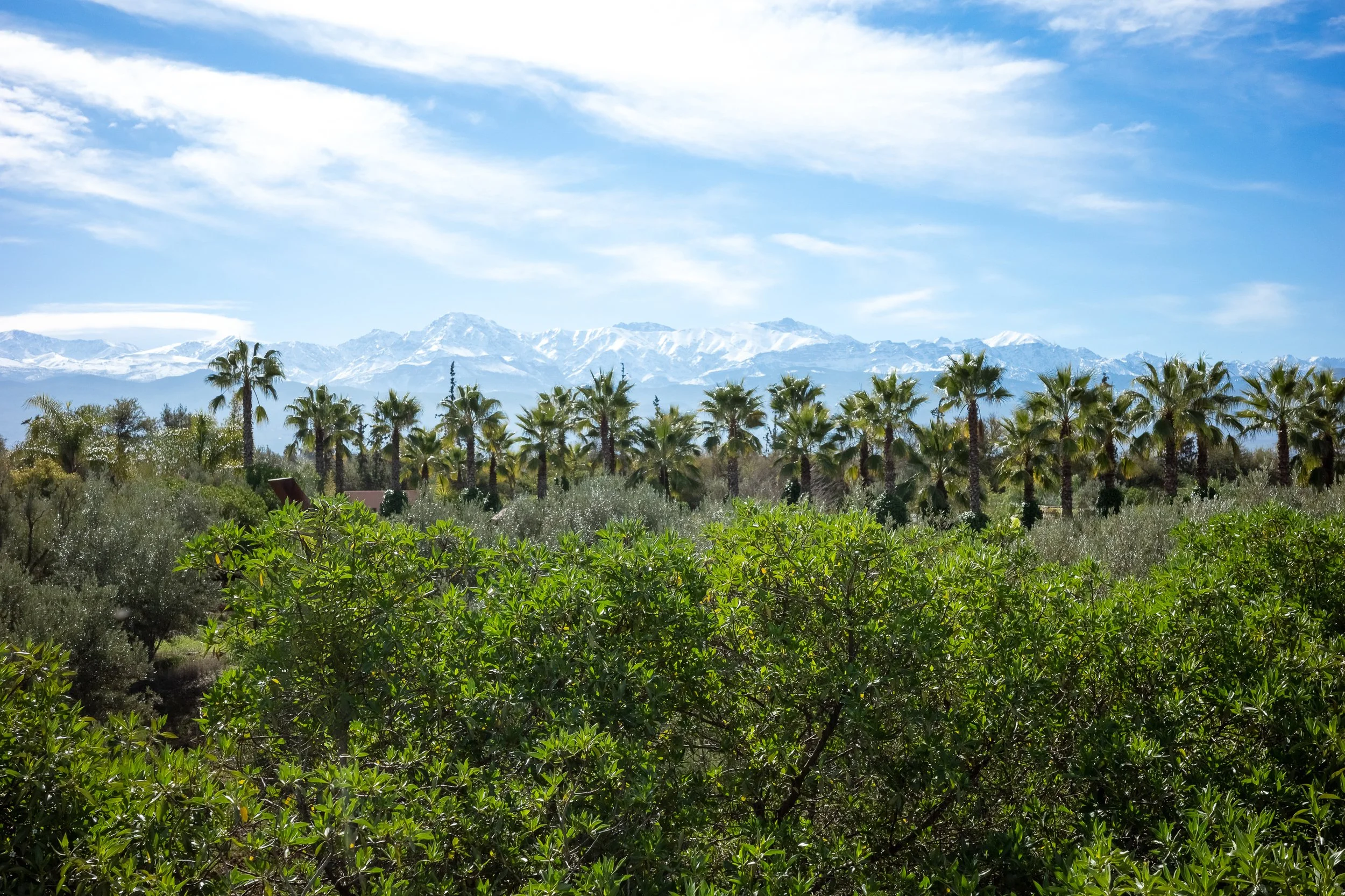 Maroko Ricoh RESIZED_7.jpg