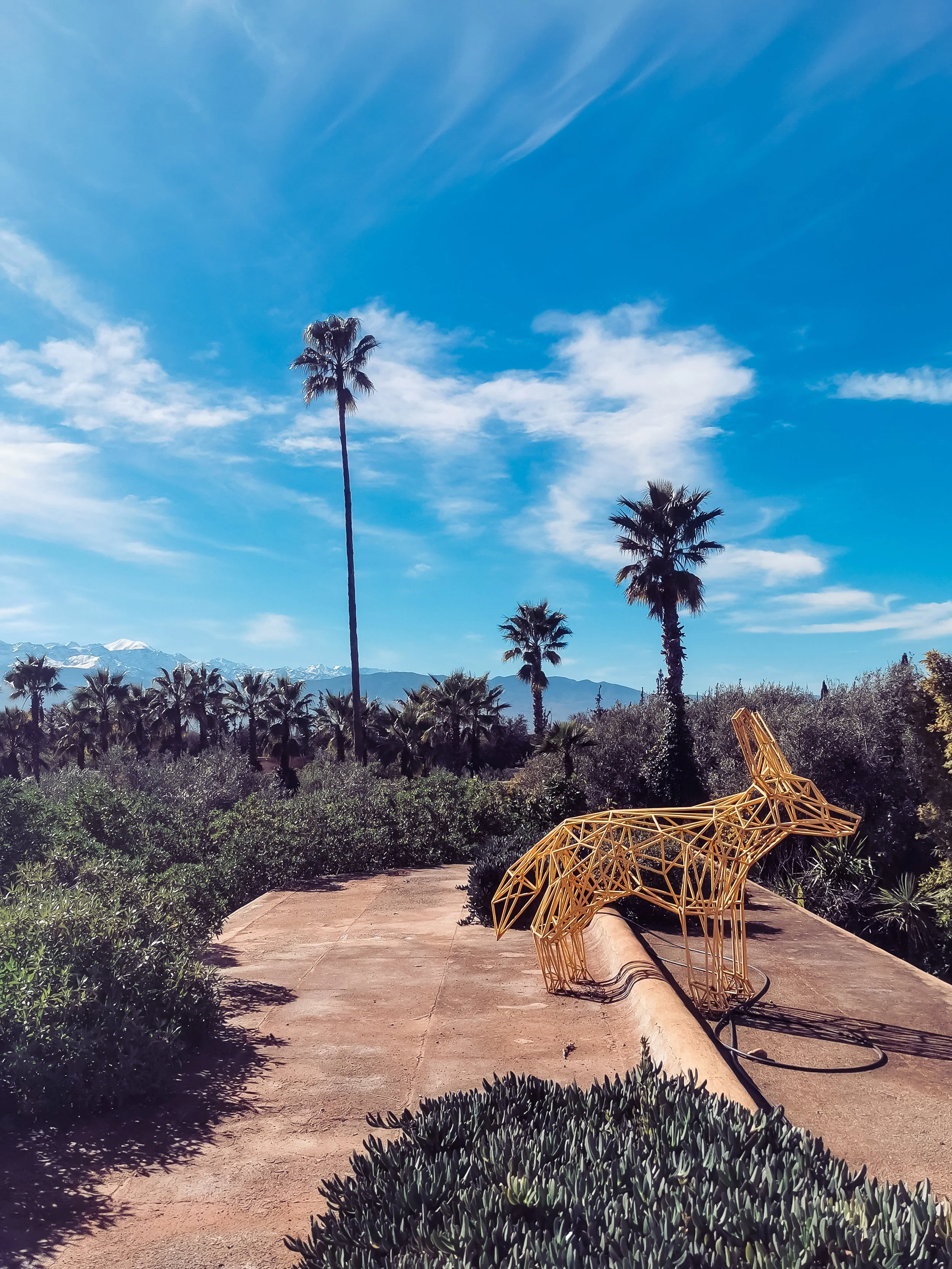 Maroko Telefon_54.jpg