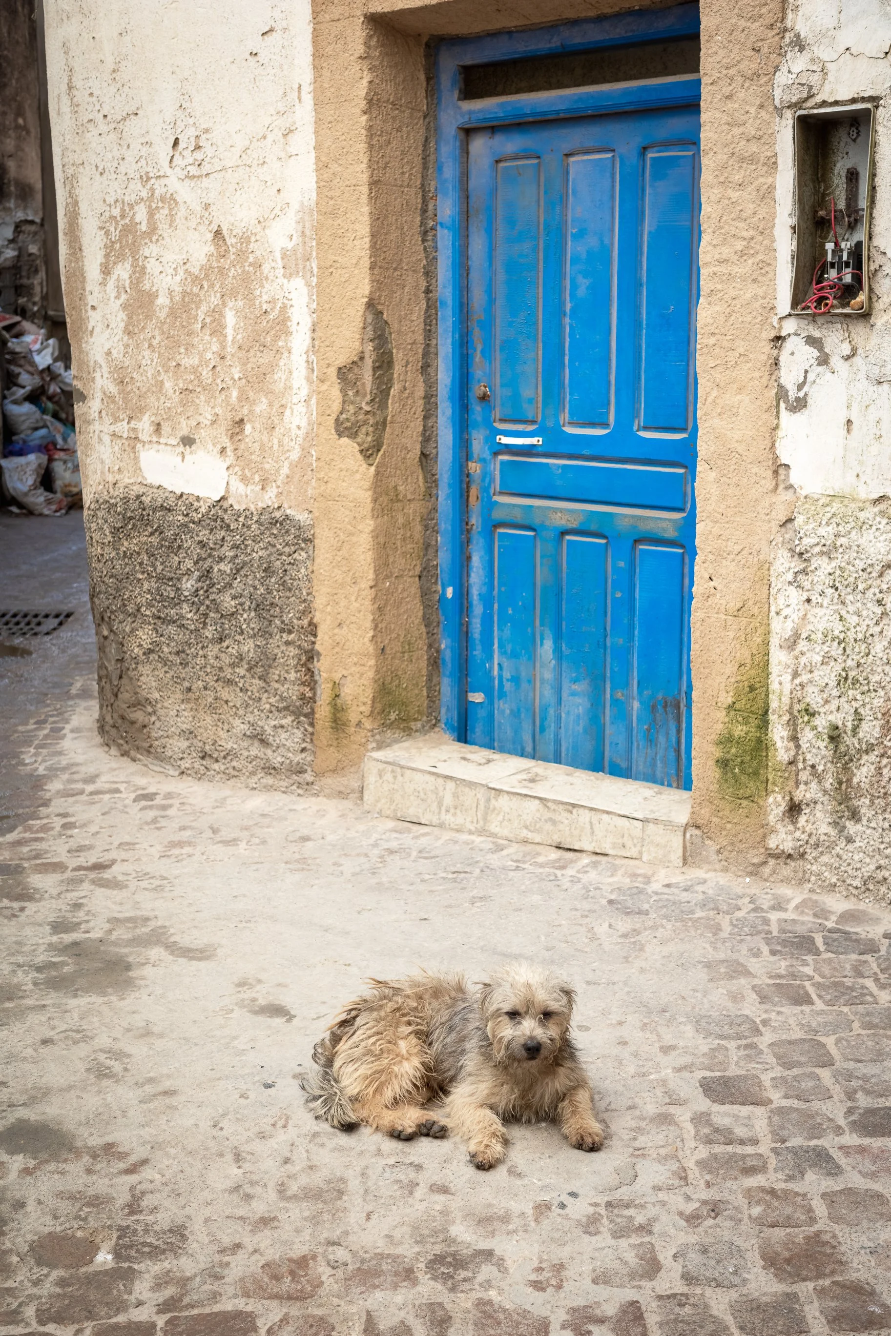 Maroko Ricoh RESIZED_49.jpg