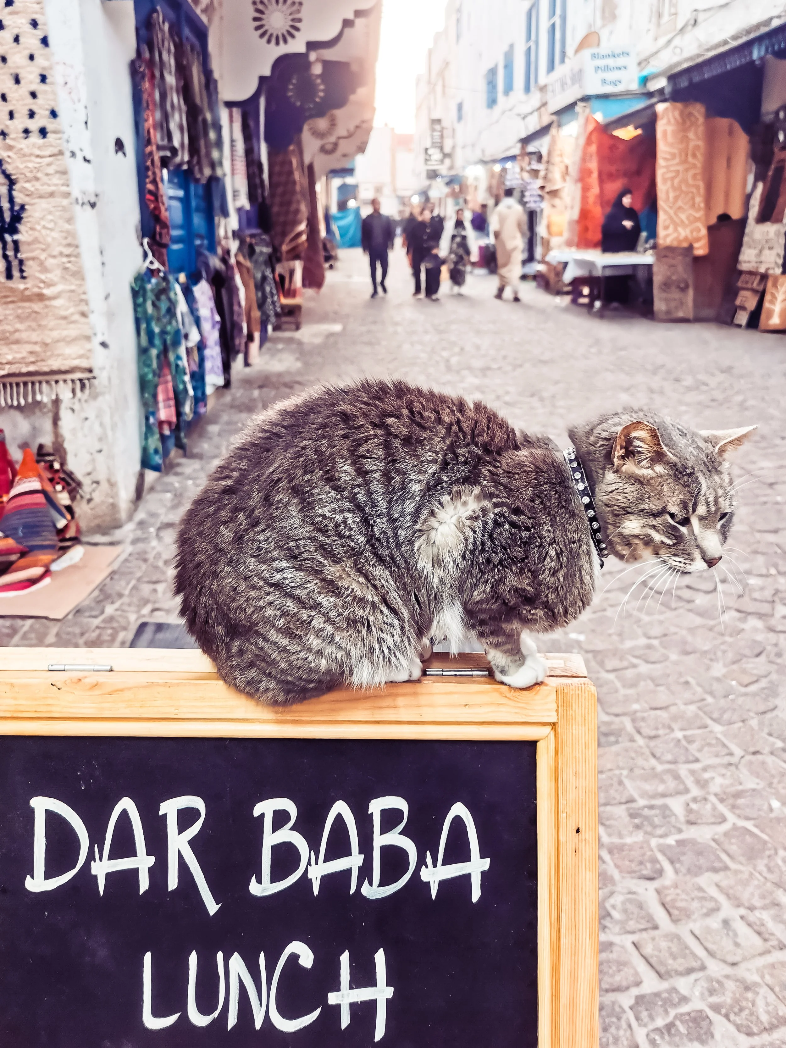 Maroko Telefon_208.jpg