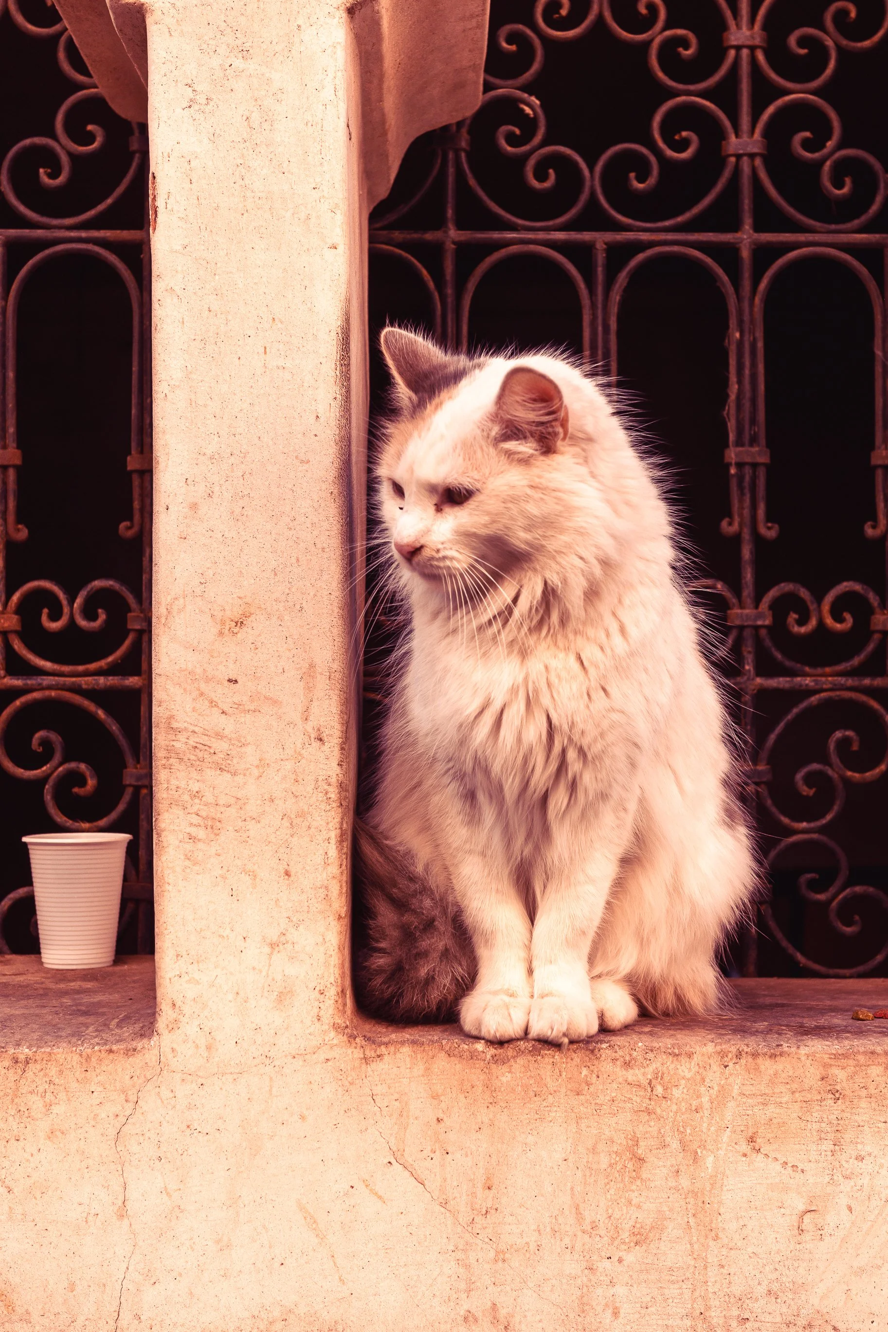 Maroko Ricoh RESIZED_14.jpg