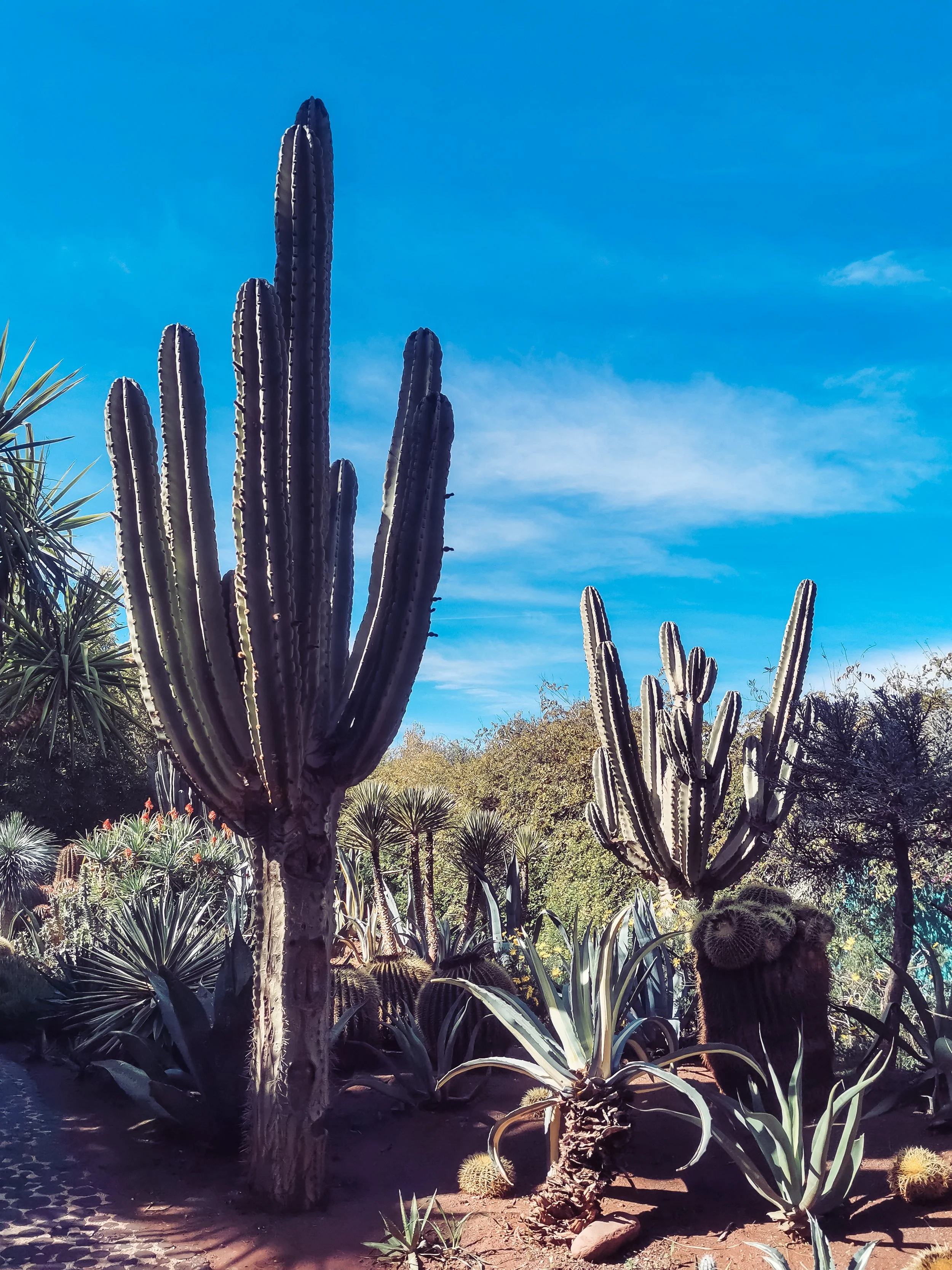 Maroko Telefon_57.jpg