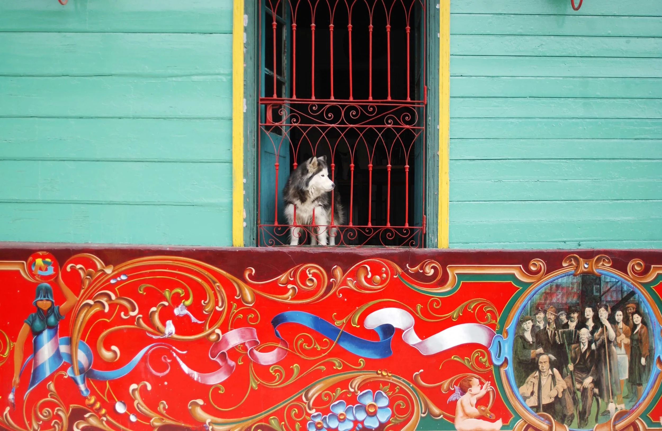 Boca Huskey.jpg