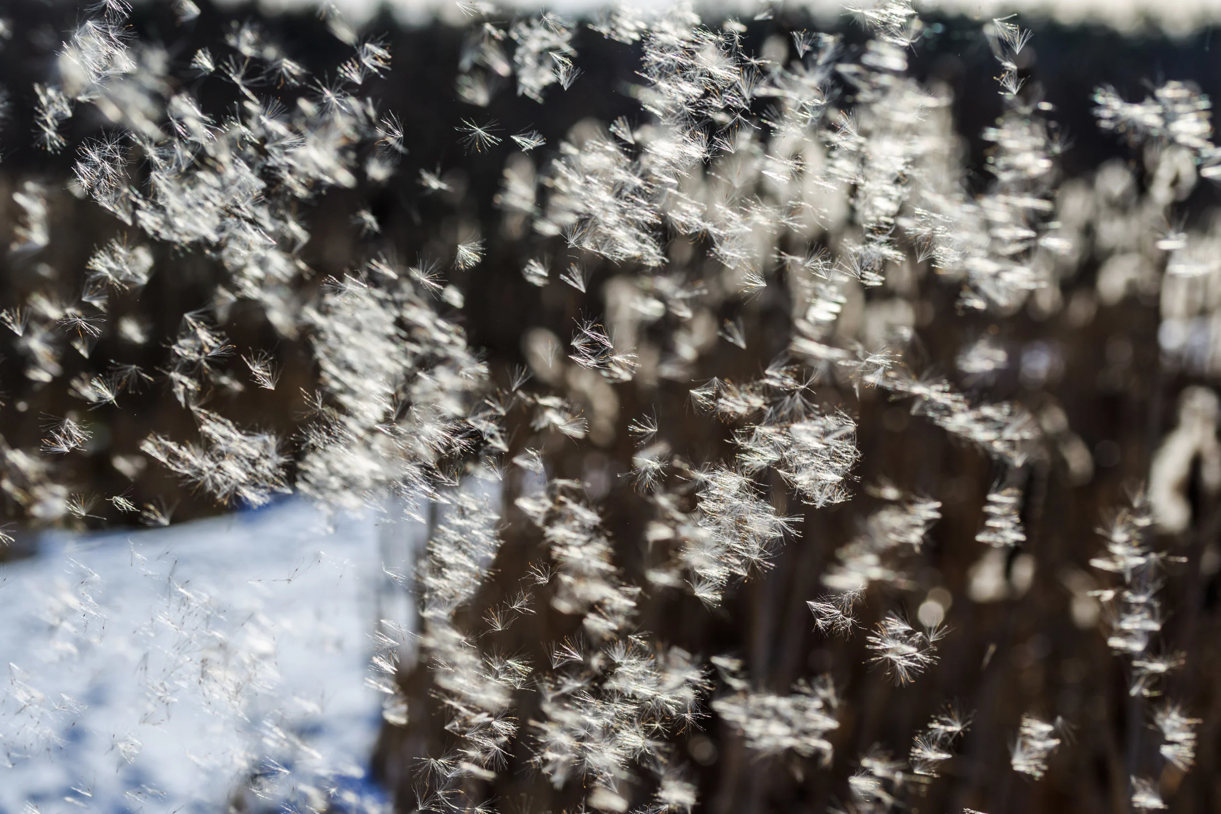 Light as air.