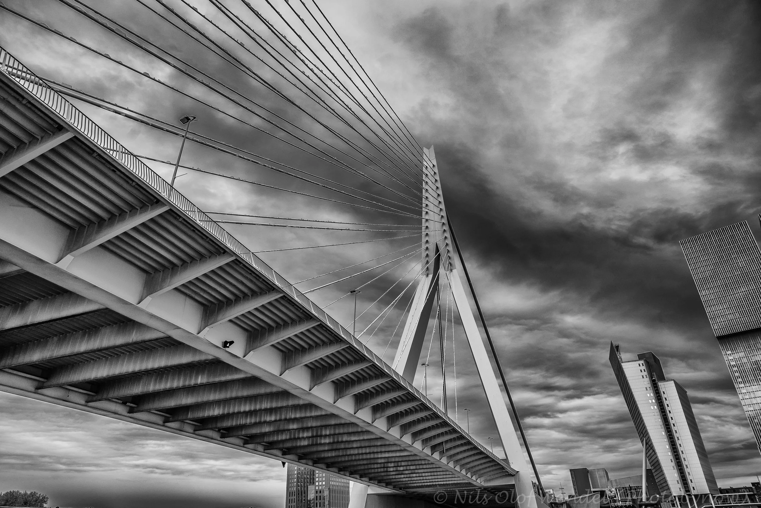 Rotterdam.