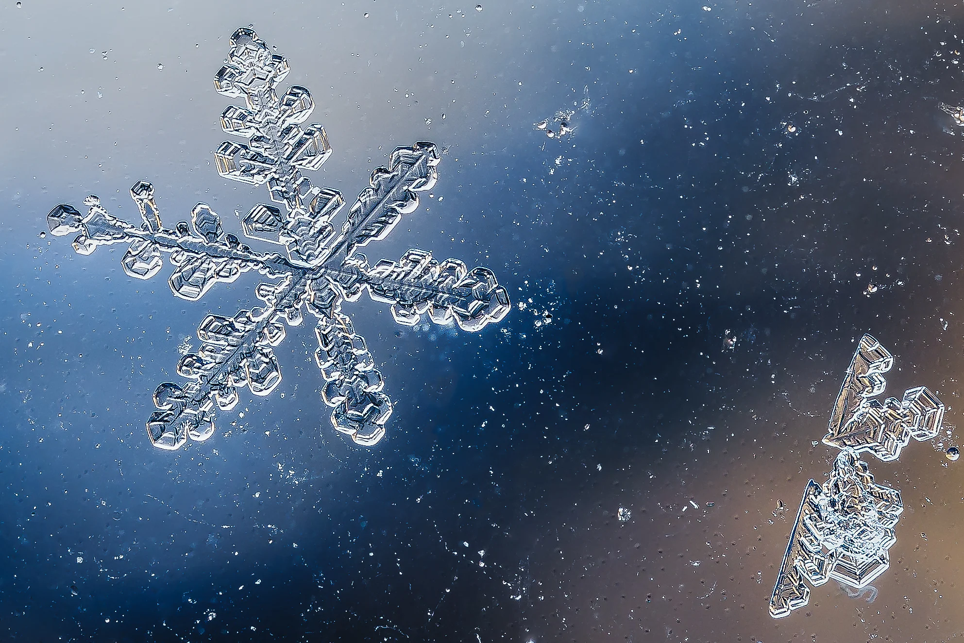 Ice crystals on the window at home.