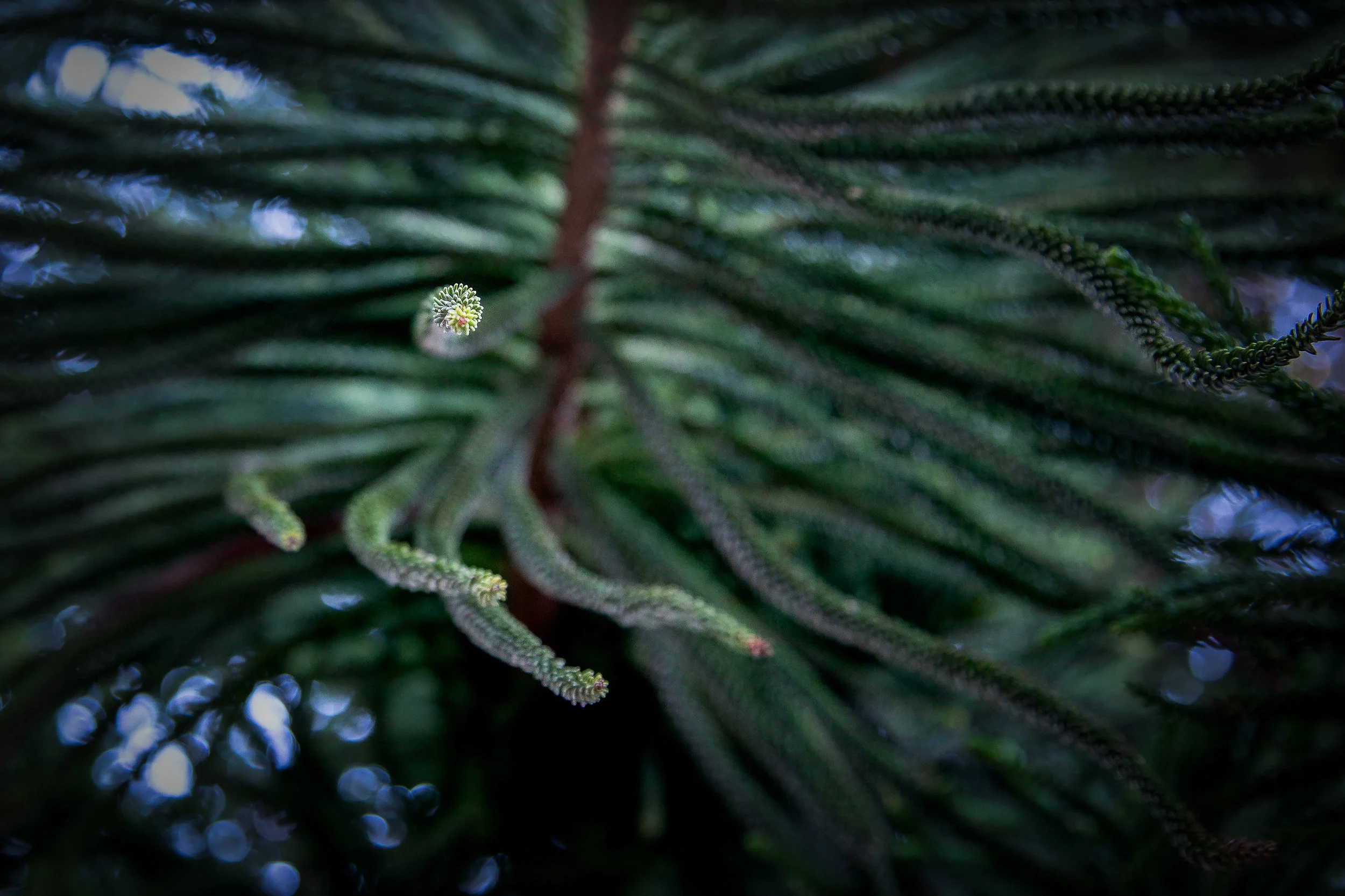 Depth of field.