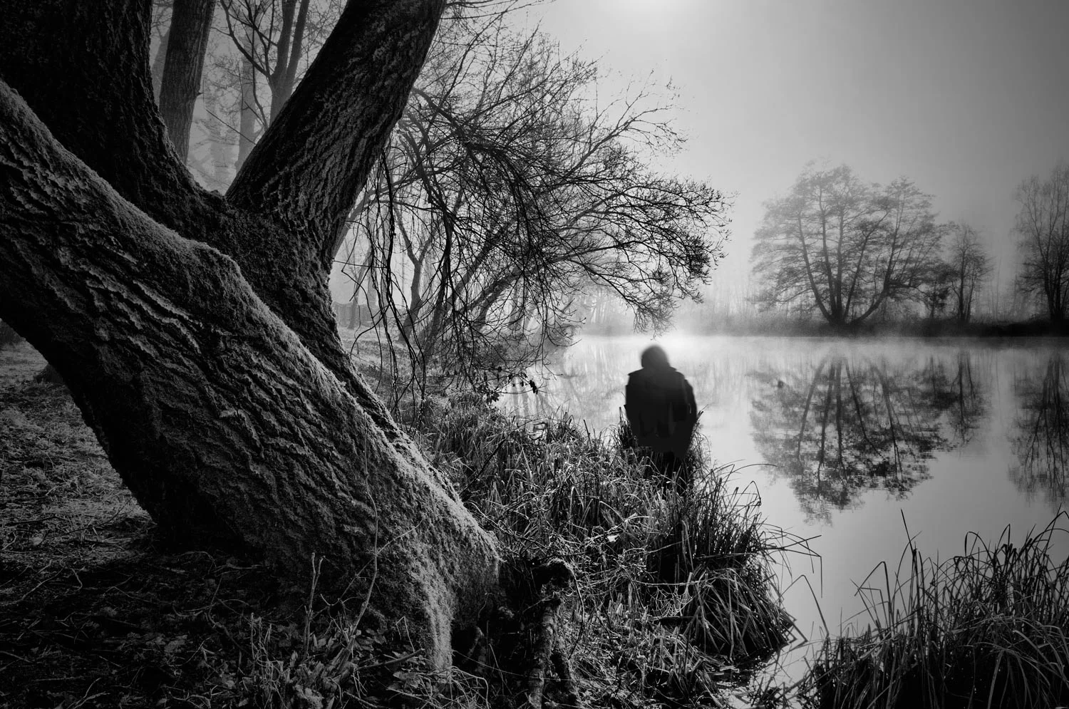 Photography : Black and White