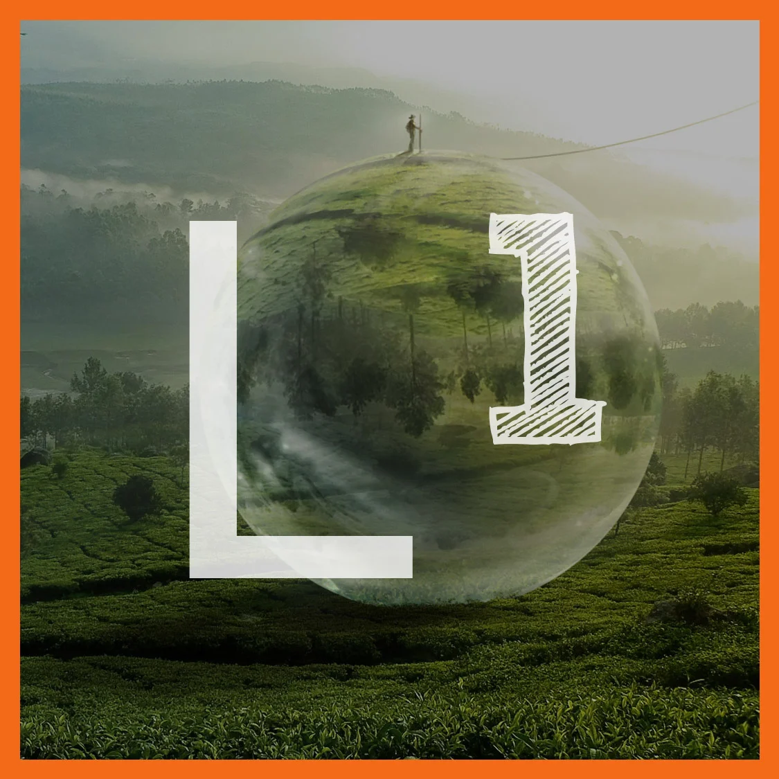 Level 1 : Das Starter Programm