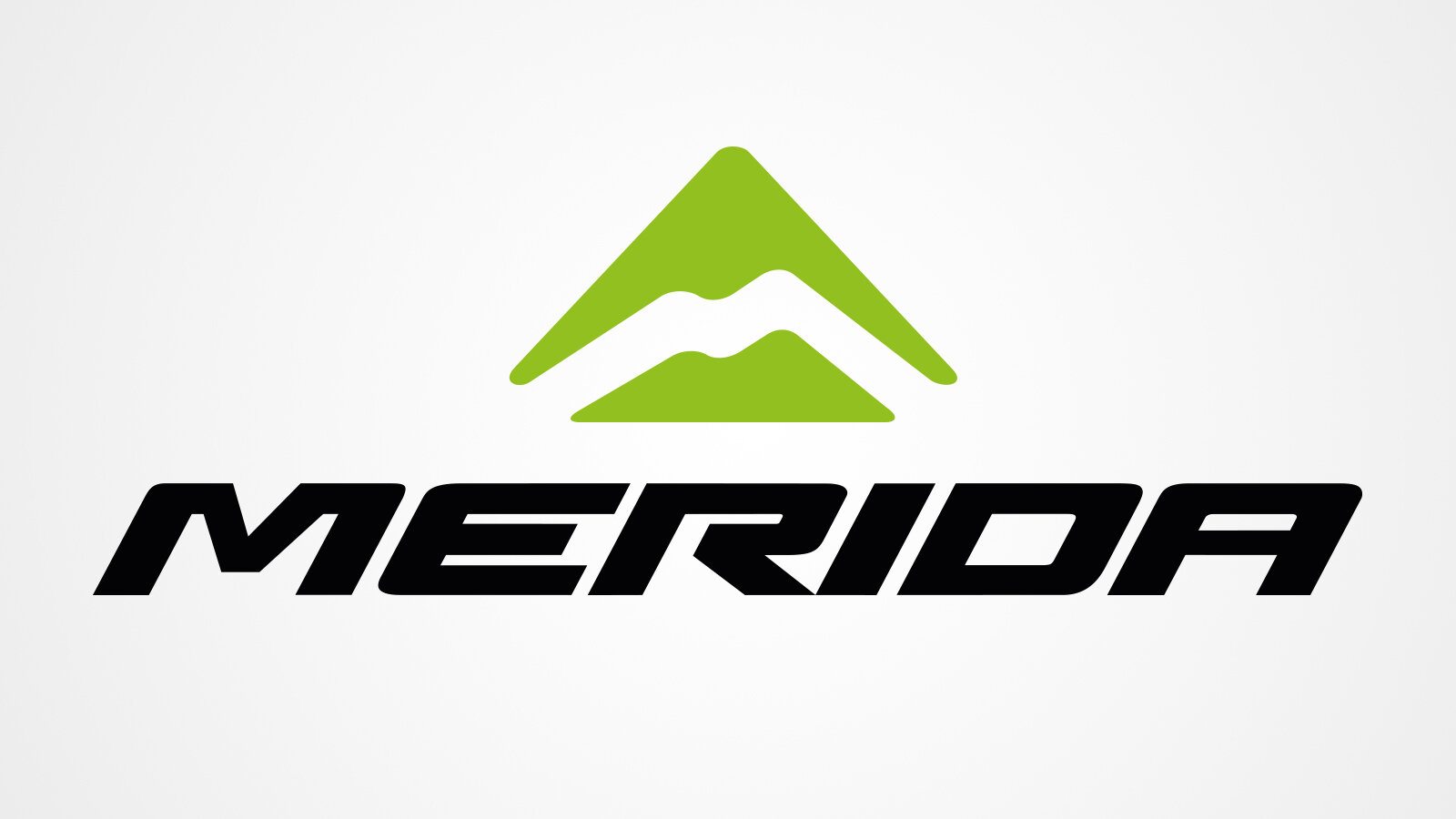 Merida Logo.jpg