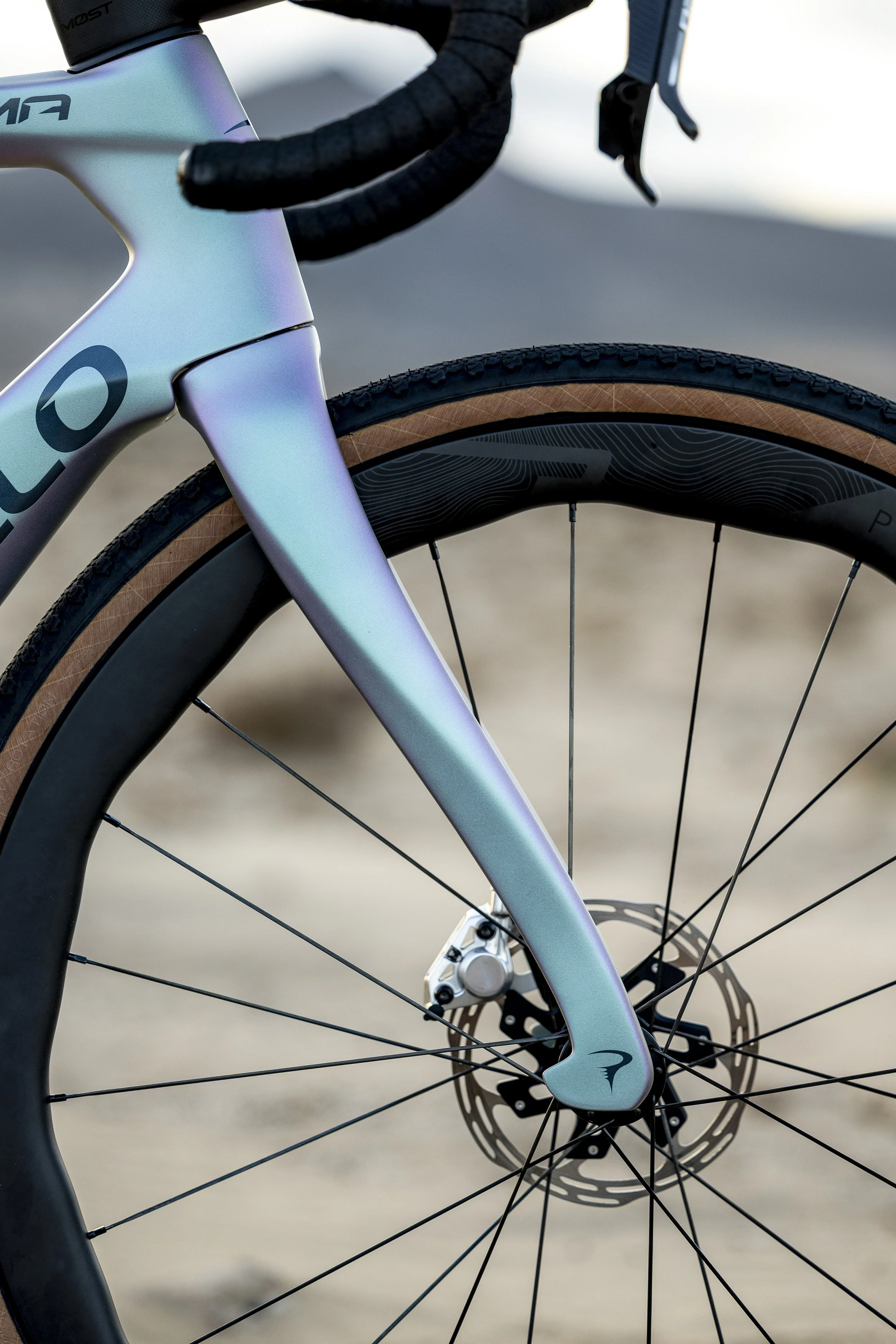 5504_RB_120625_RobyBragotto_Fuerteventura_Pinarello_DogmaGR.jpg