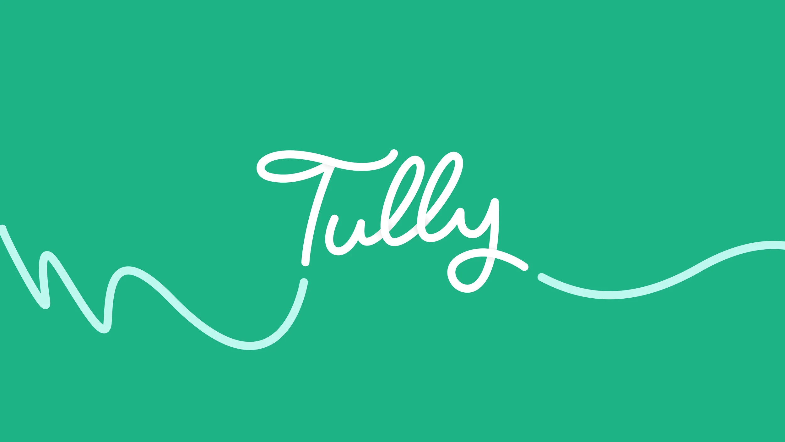 Tully-Case-Study.jpg