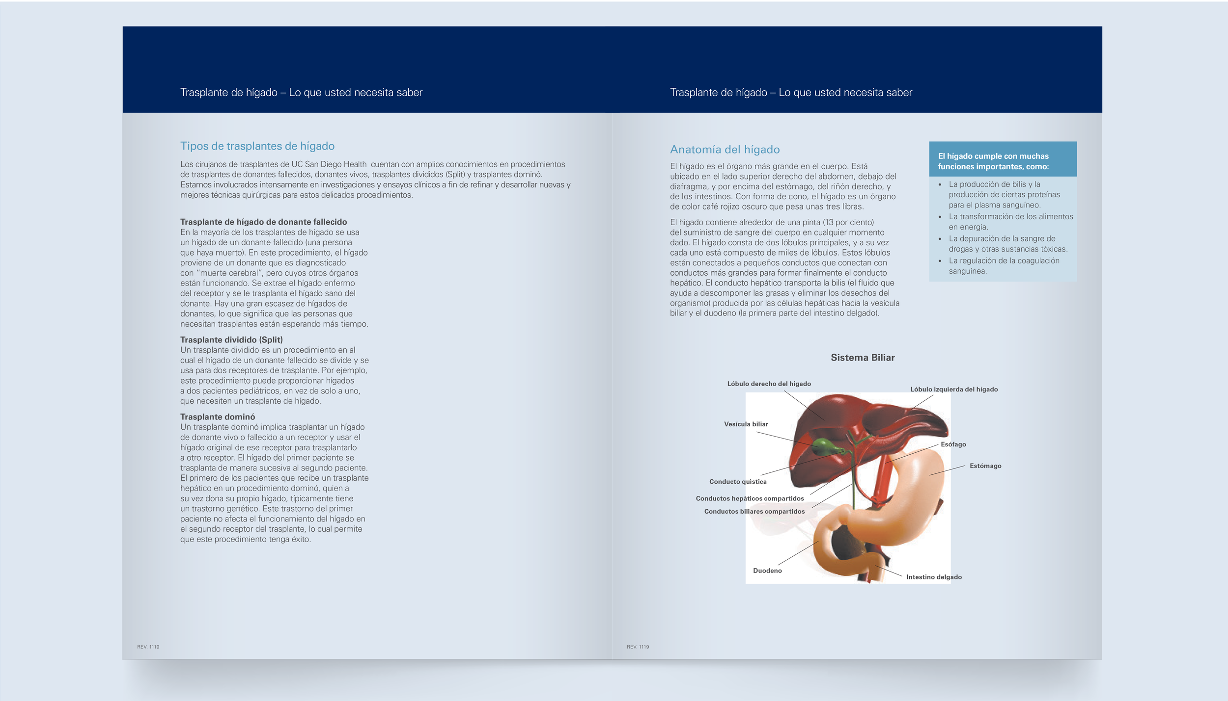 UCSD Website Layout LiverTransplant-03.png