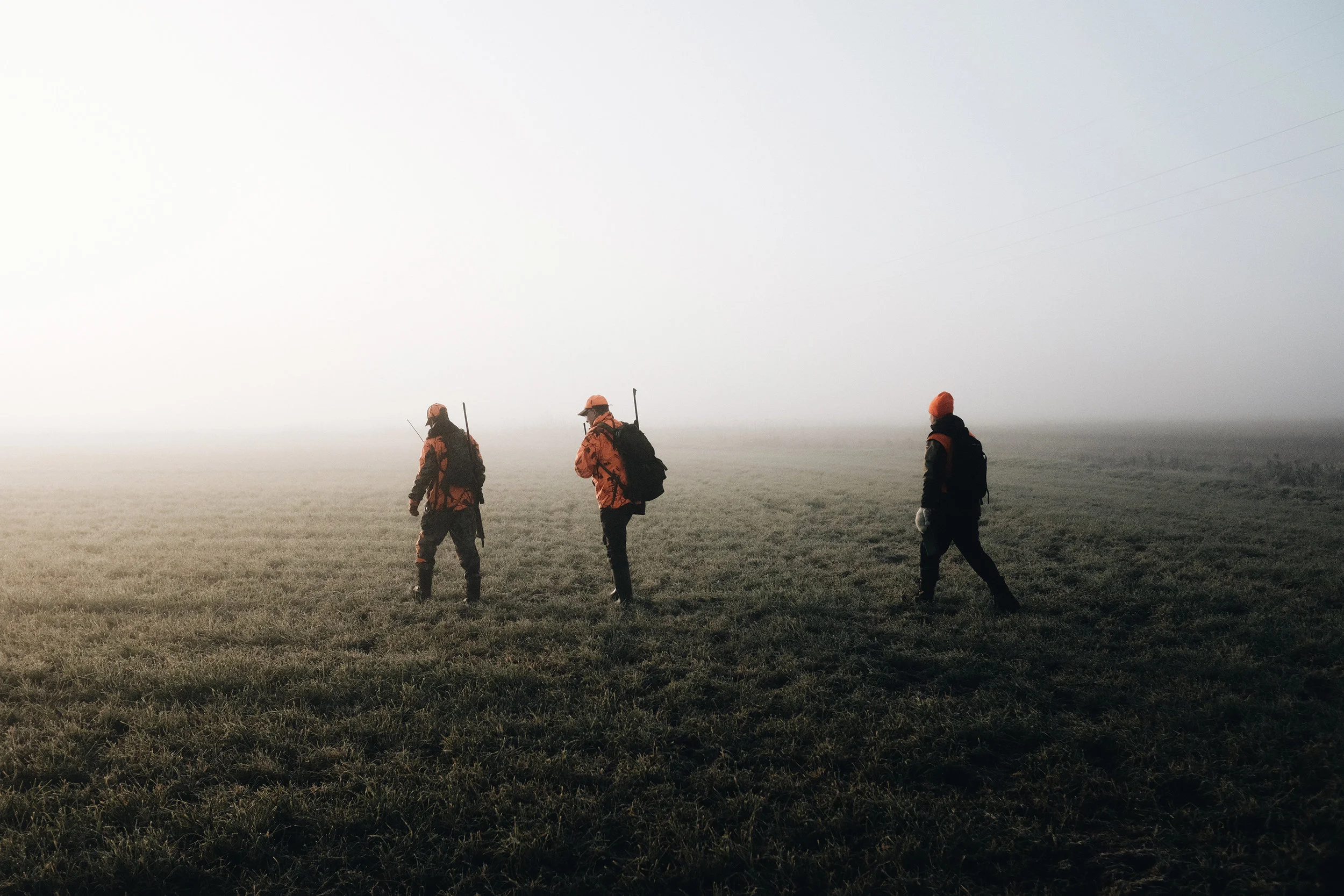 foggy1a.jpg