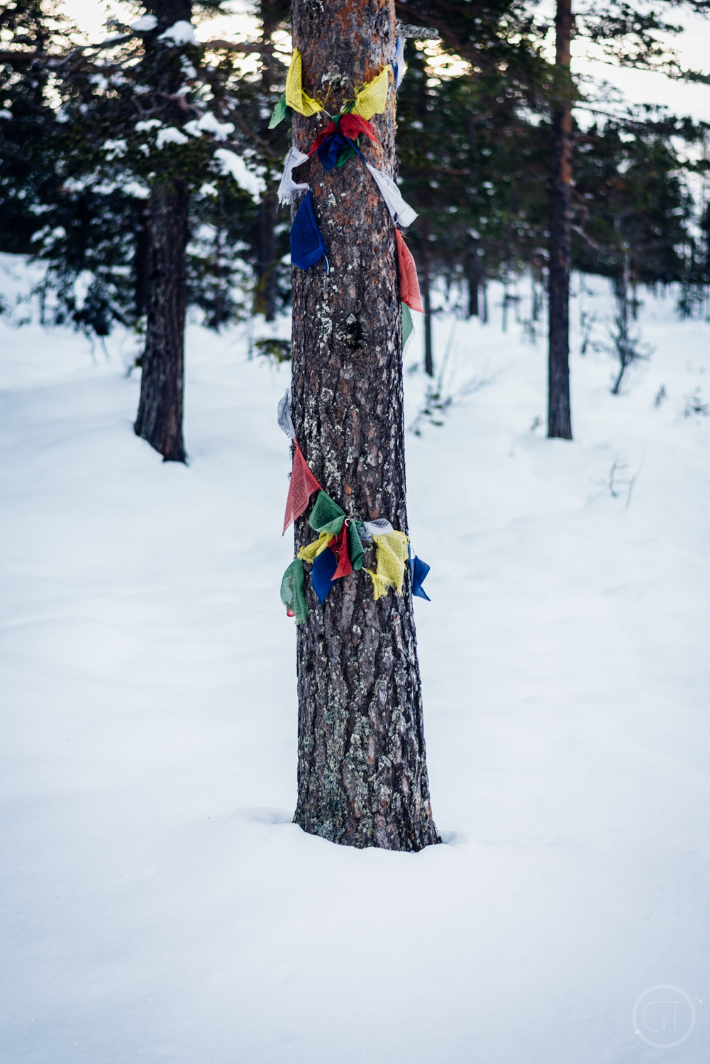 GUSTAV_THUESEN_HUNTING_NORWAY_OUTDOOR_LIFESTYLE_PHOTOGRAPHER_PROFESSIONAL-22.jpg