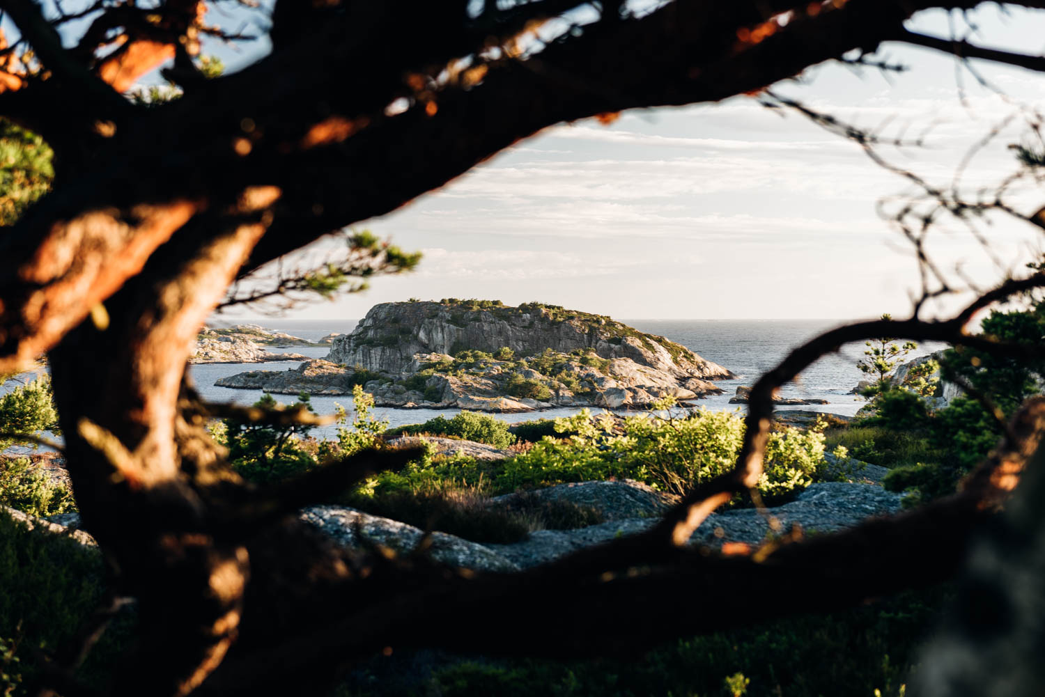 CYCLING-SCANDINAVIA-NORWAY-BIKEPACKING-GUSTAV-THUESEN-PHOTOGRAPHER-PHOTOGRAPHY-ADVENTURE-8.jpg