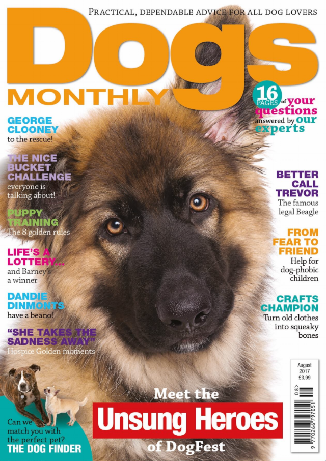 Fletch DM Dogs Monthly Cover.png