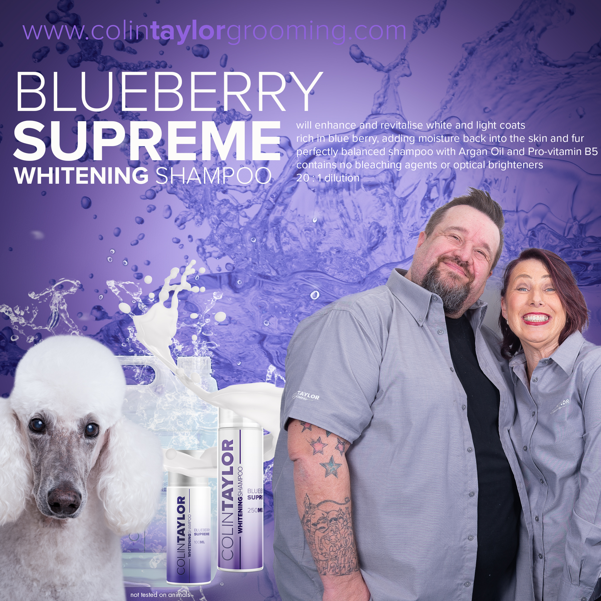 WHITEx2.jpg