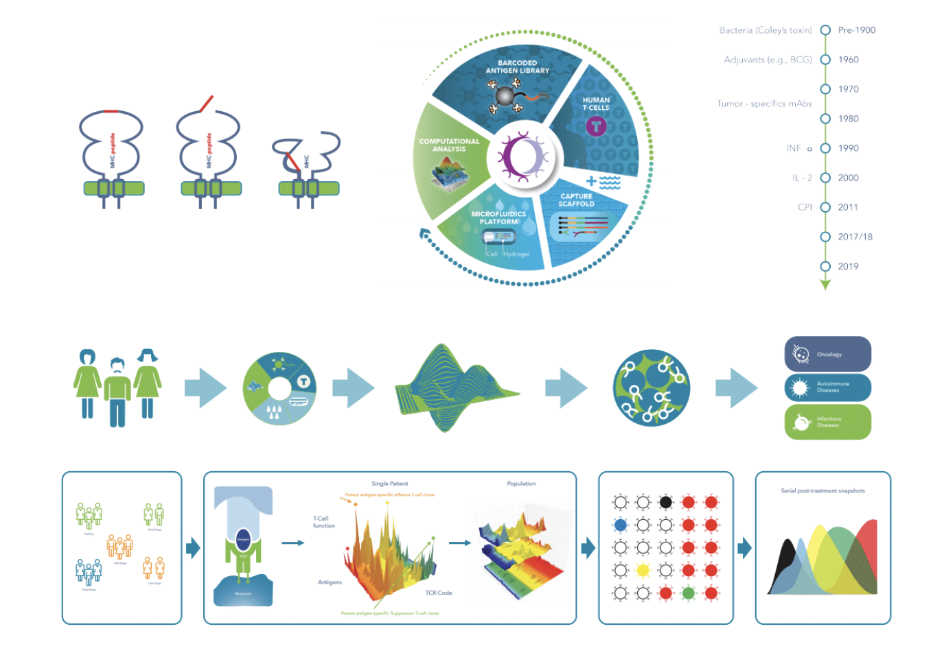 Screen Shot 2020-08-03 at 11.19.35 AM.png