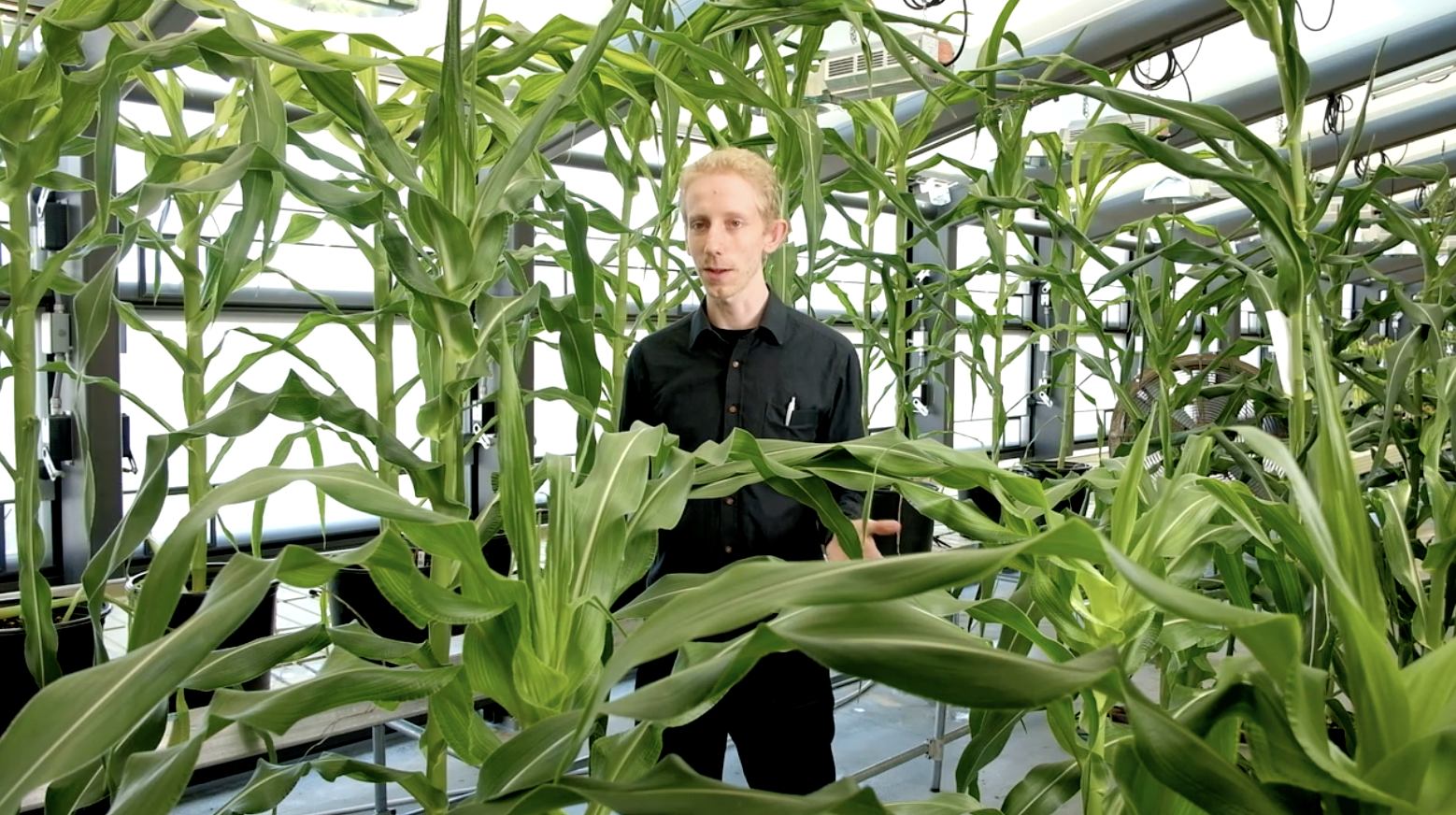 PROJECT: Inari agriculture Employee Films (content writing + film production)
