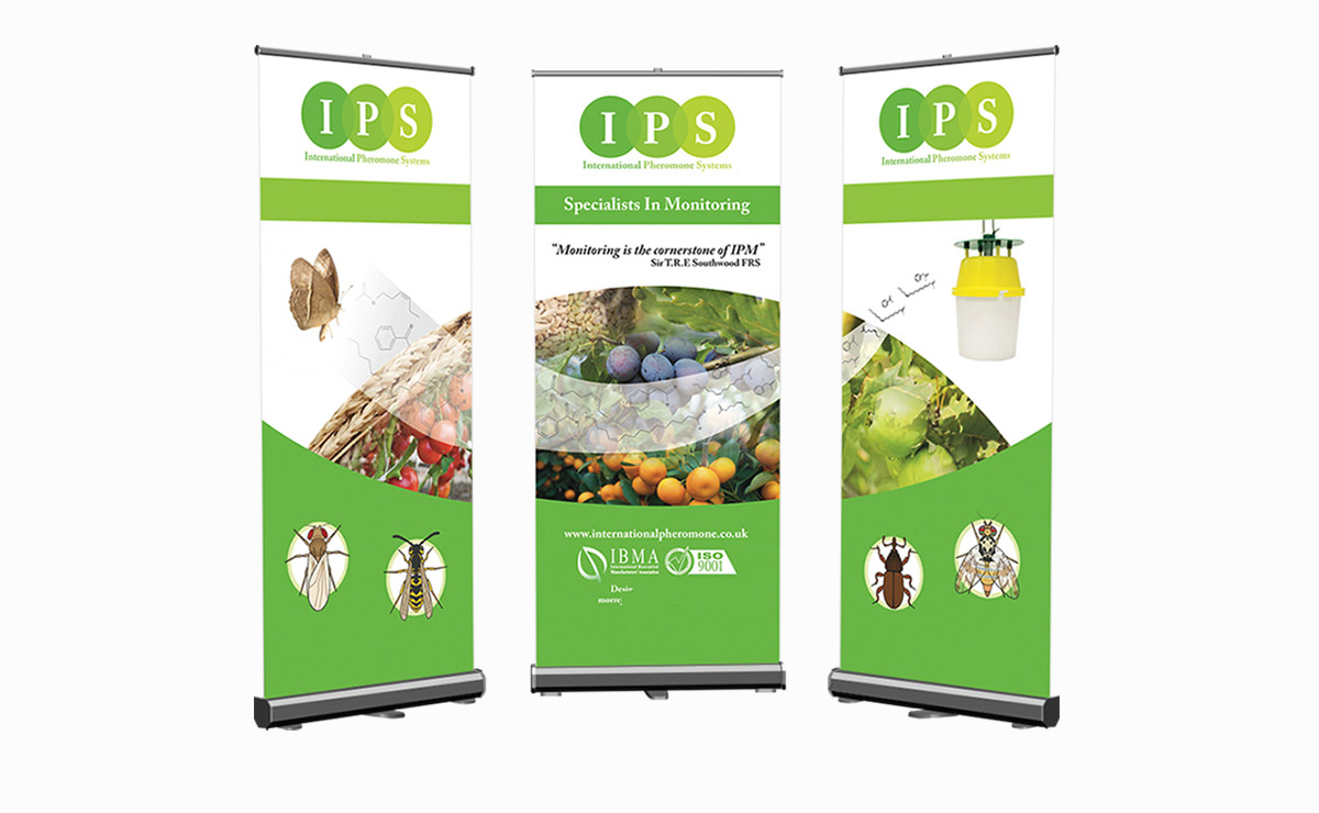 short_0029_ips-banners-mockup.jpg