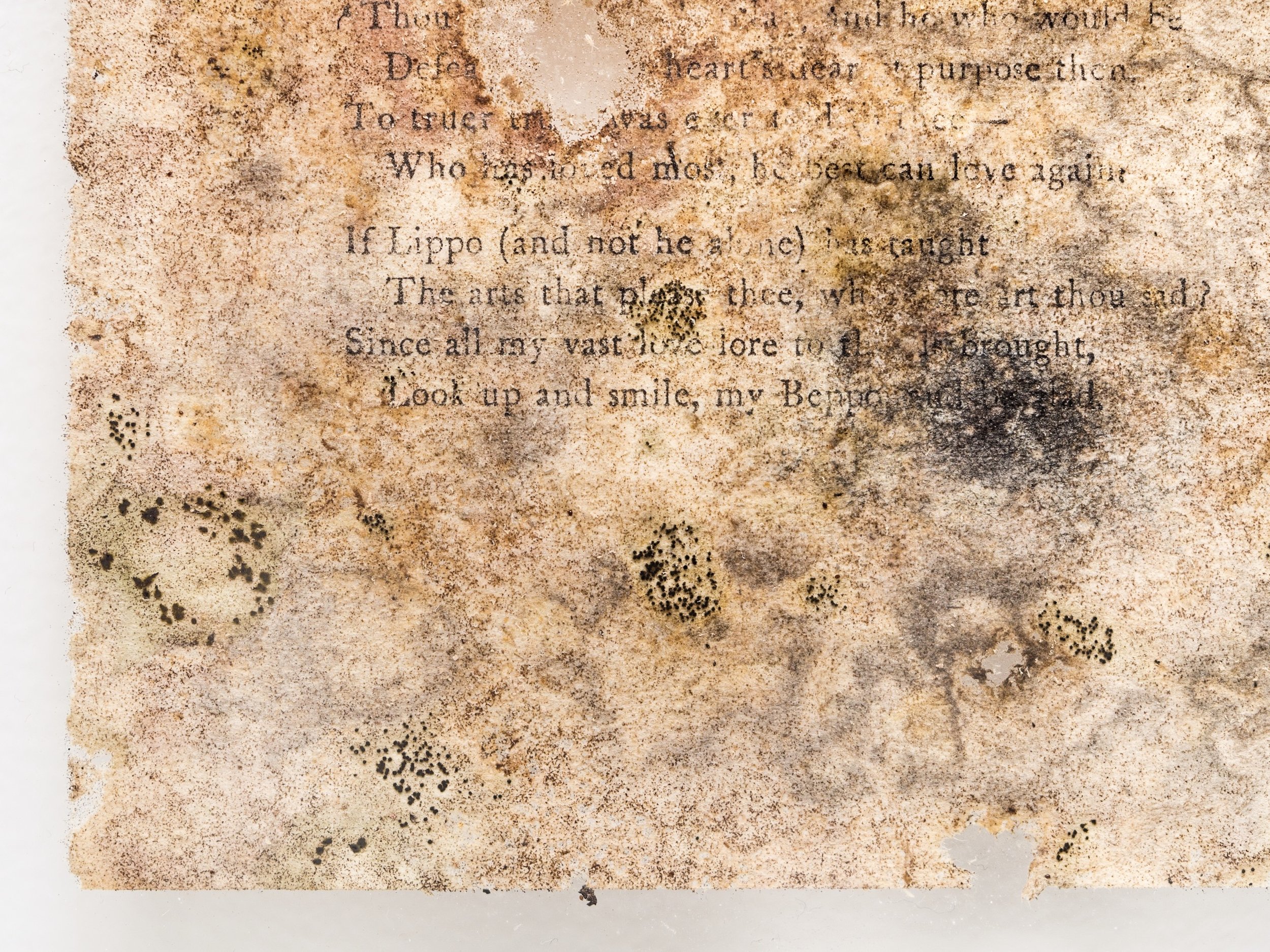 This Too Shall Pass 03 [detail]