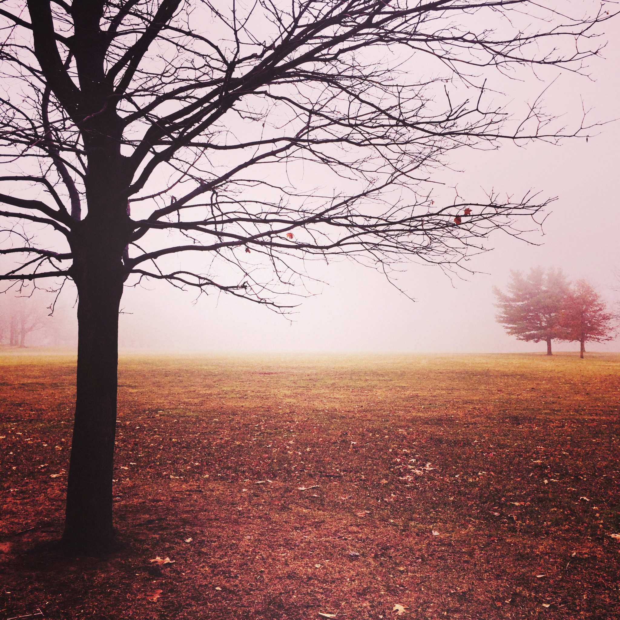 Brookdale, NJ