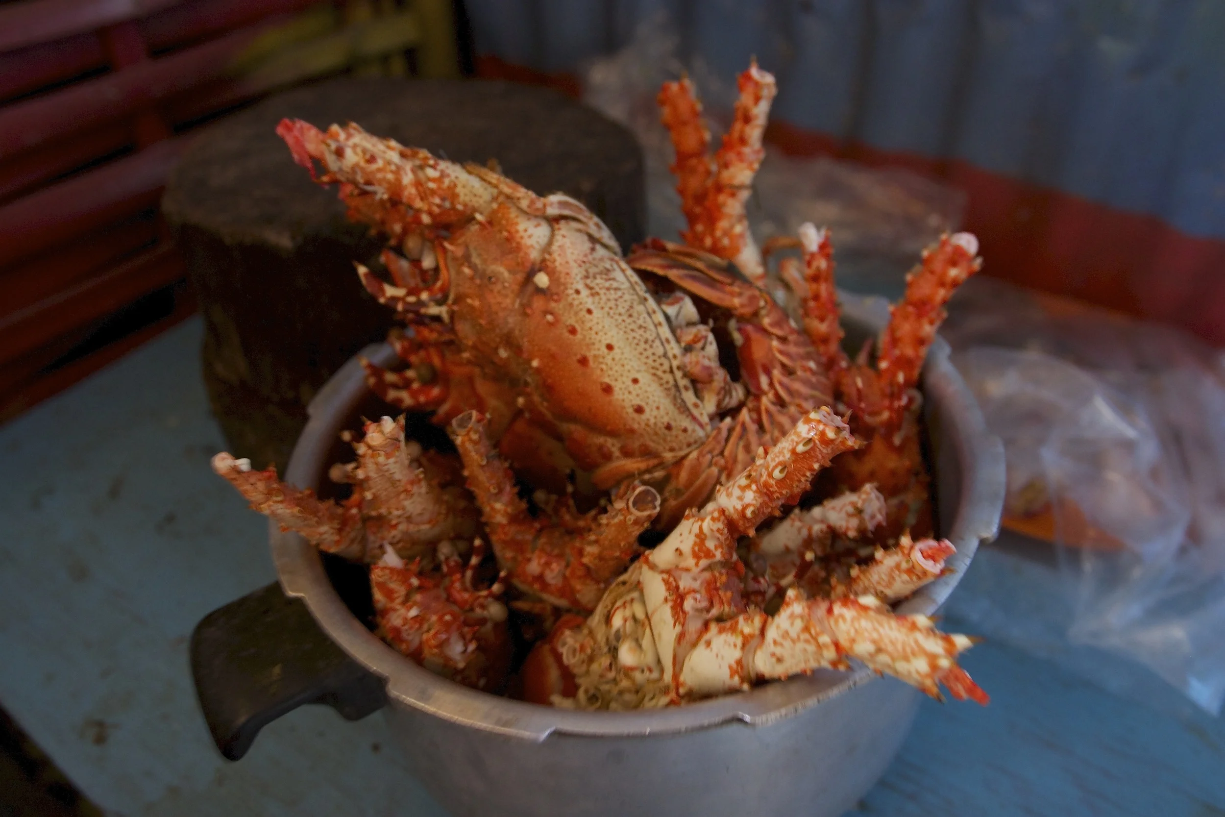 Spiny Lobster at The Lobster Trap - Round Hill, Jamaica