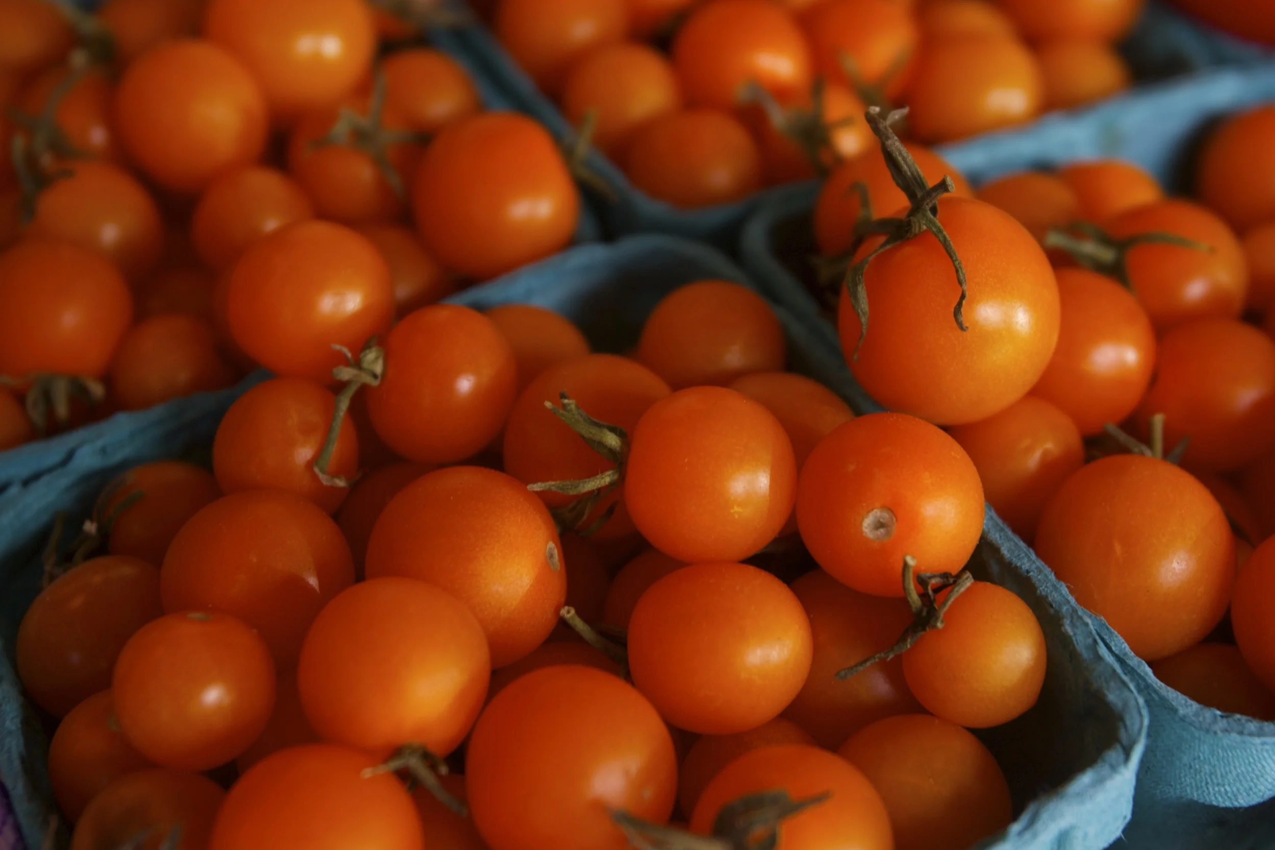The Sweetest Tomatoes - Pike Place Market, Seattle, WA