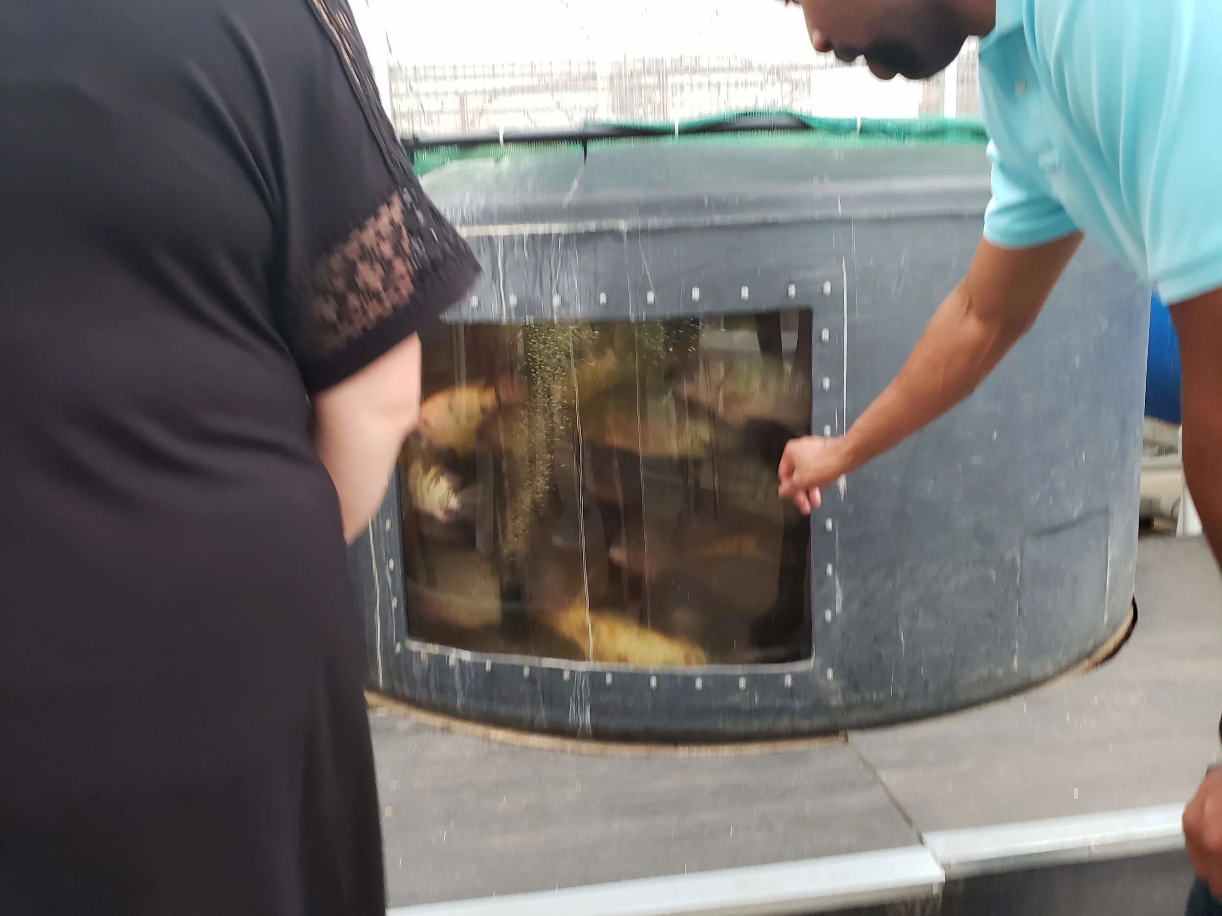 20180628_193028.jpg